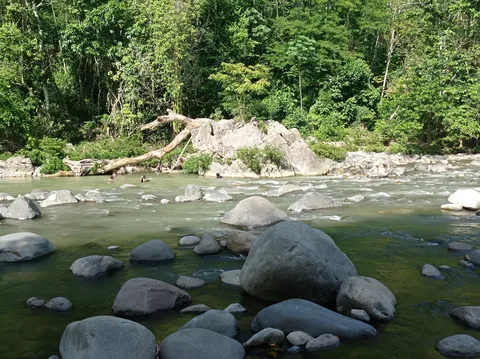 El Sabor de la Sierra image 8