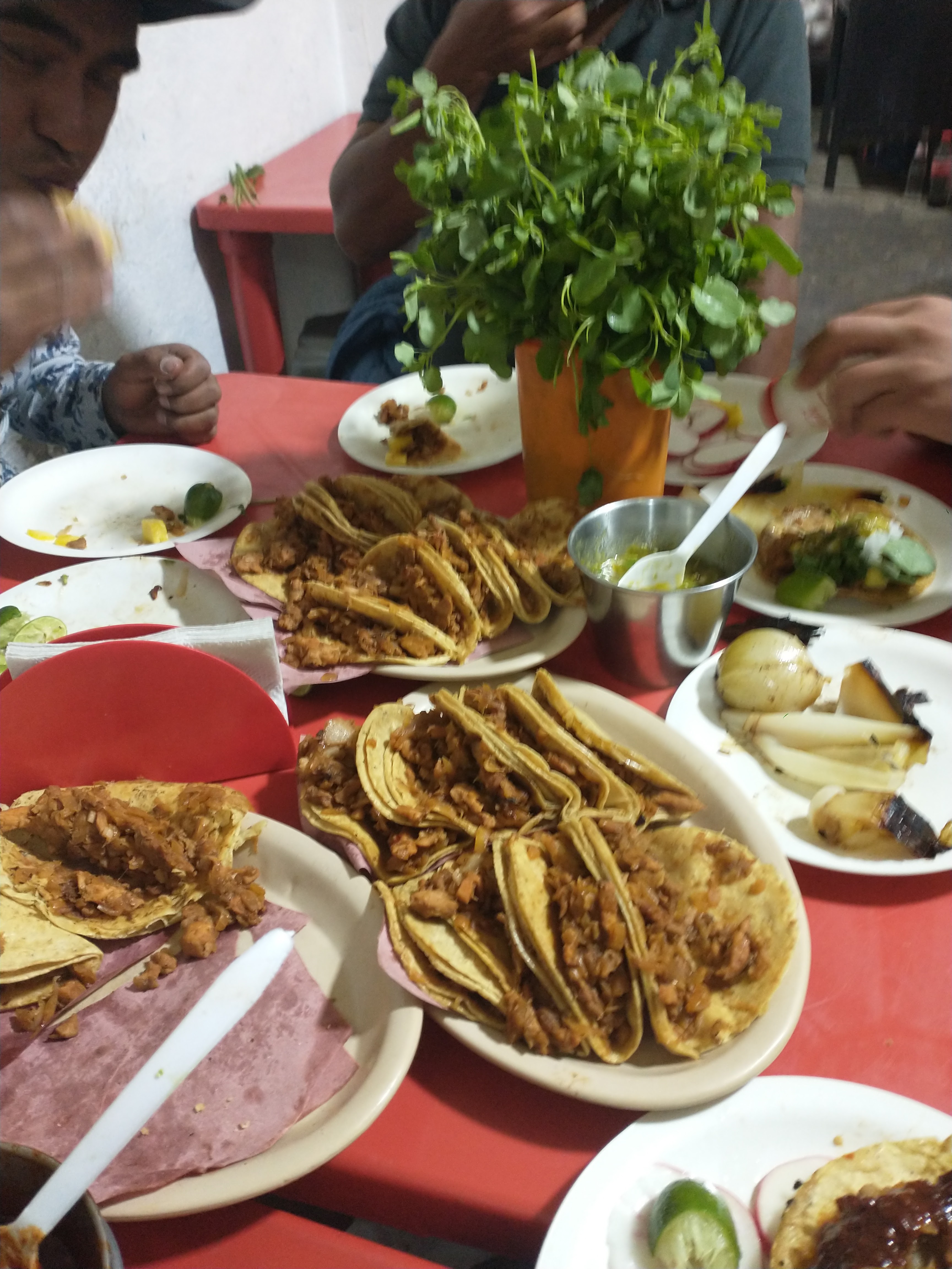 El Zar del Taco image 1