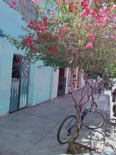 Casita de abue image 2