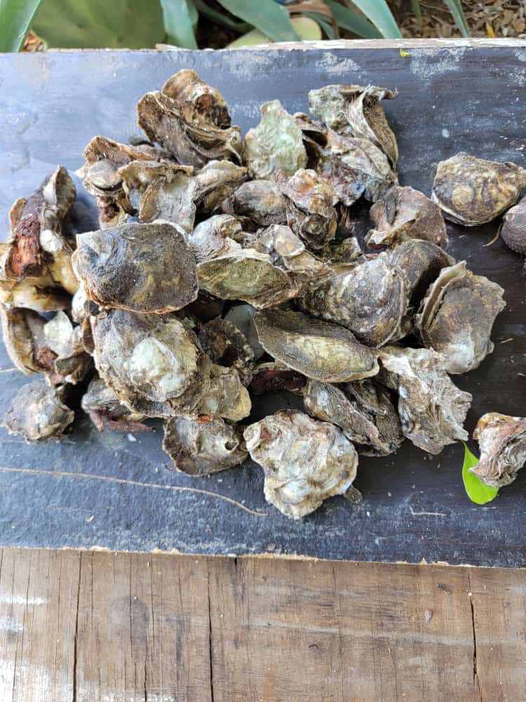 Marisqueria el garach image 4