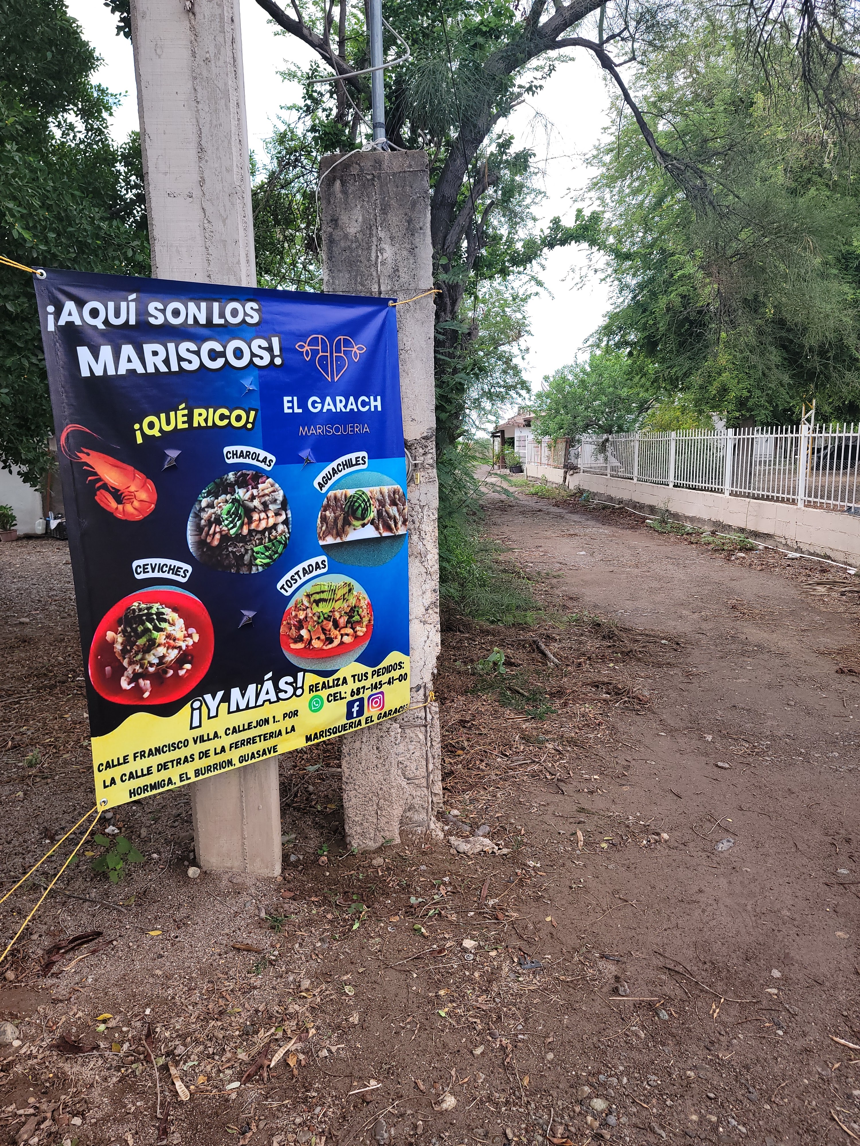 Marisqueria el garach image 8