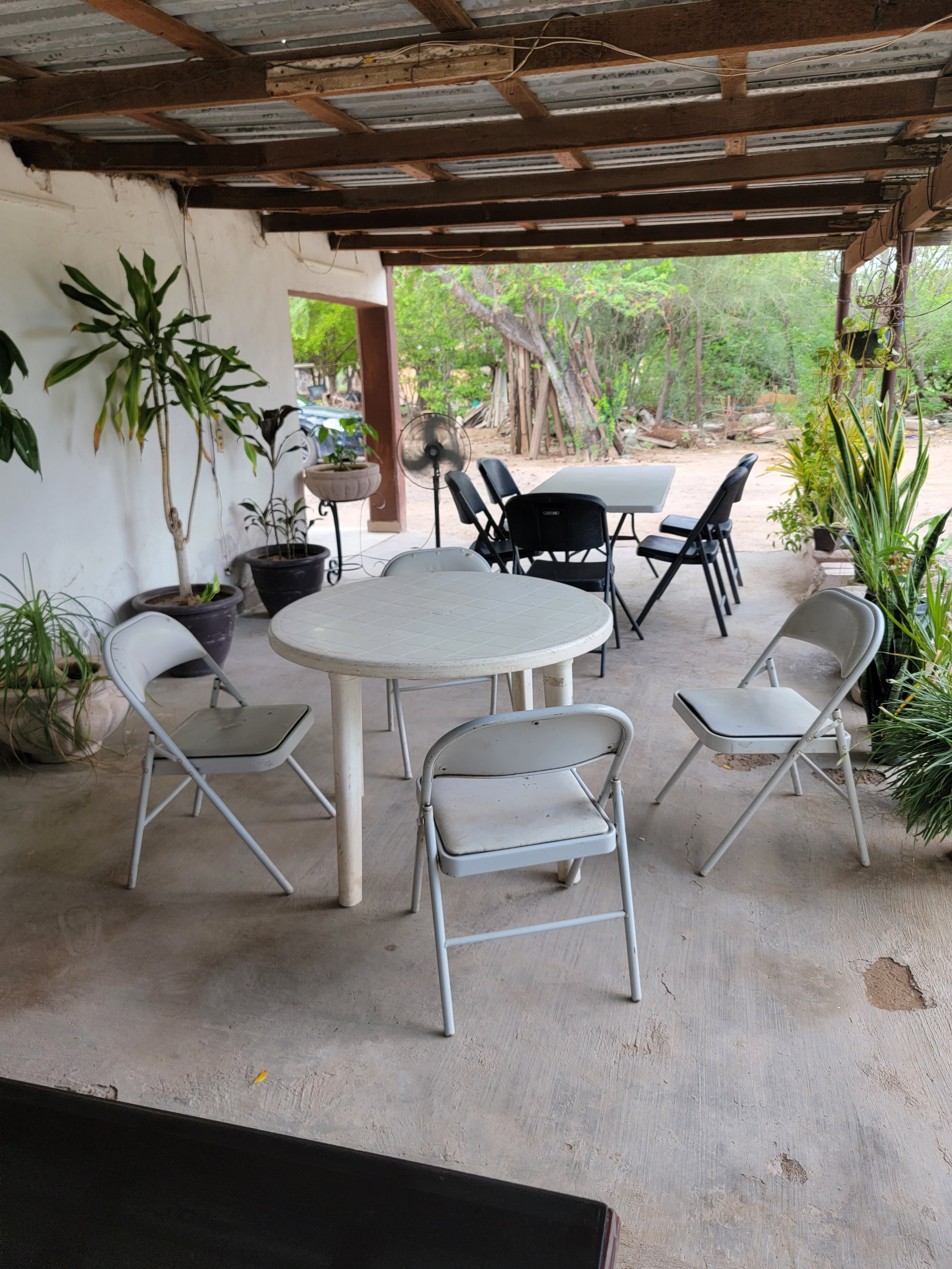 Marisqueria el garach image 9