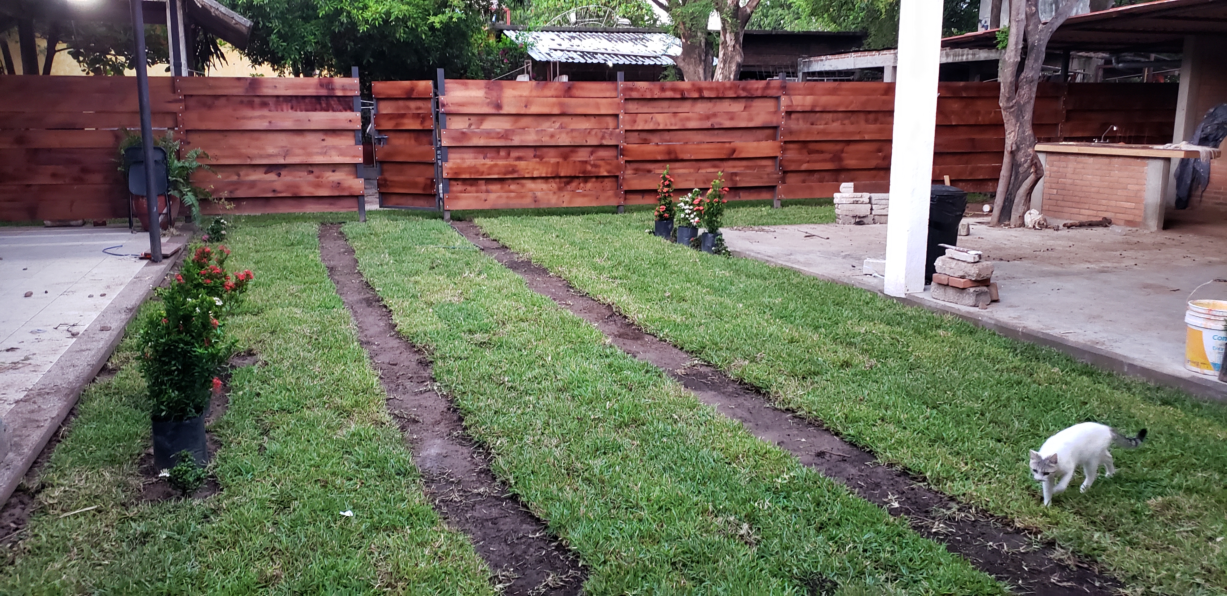 Restaurante Bar Campirano image 10