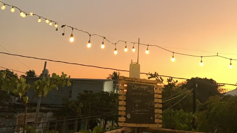 Osa mayor terraza image 2