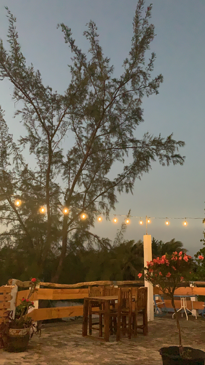 Osa mayor terraza image 3