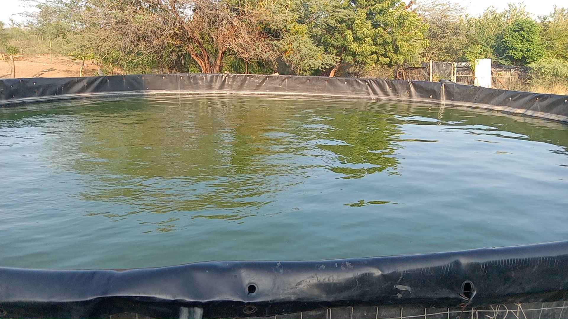 Restaurant Bar Familiar Las Mojarras image 1