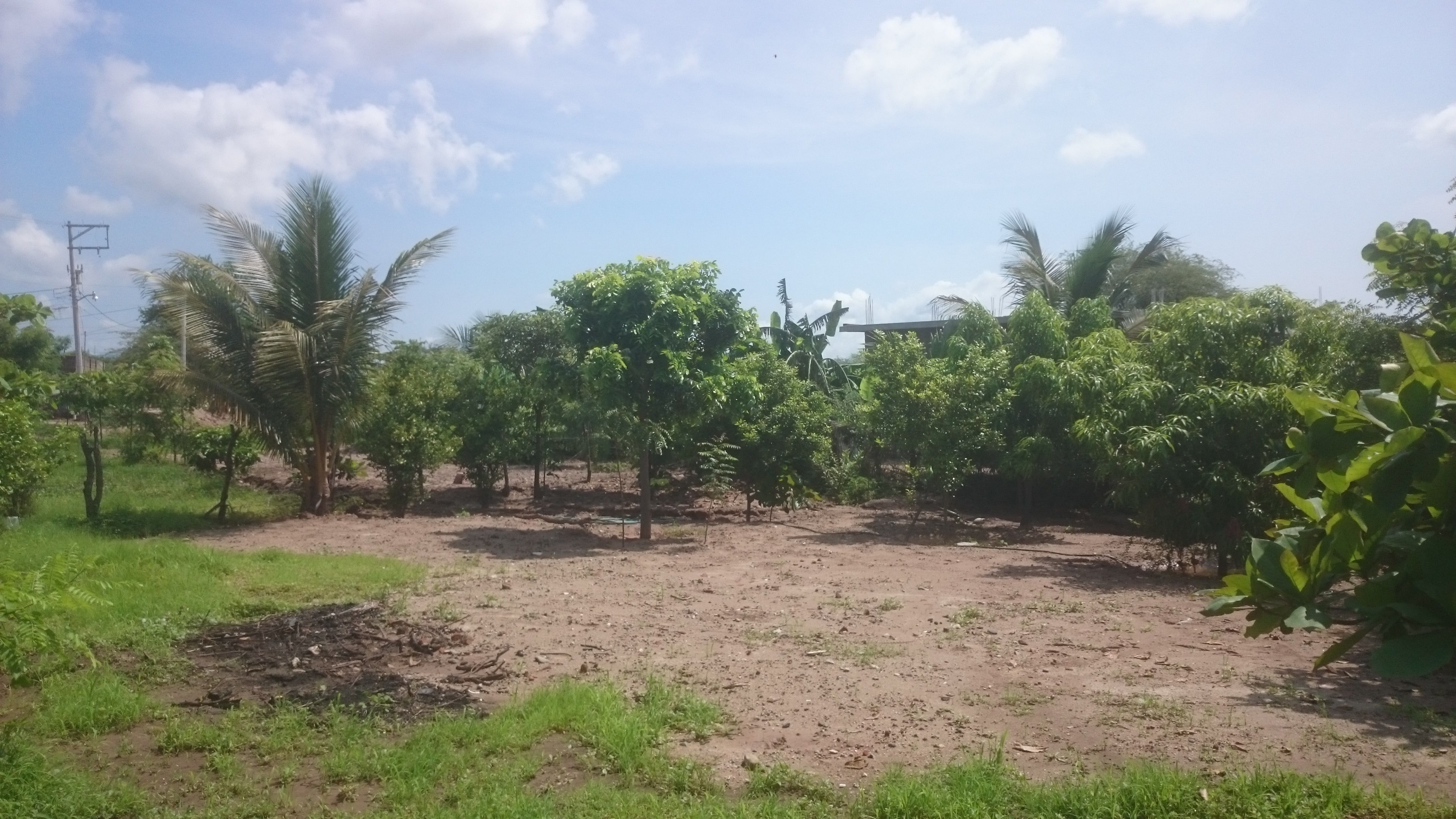 Restaurant La Tropicana image 4