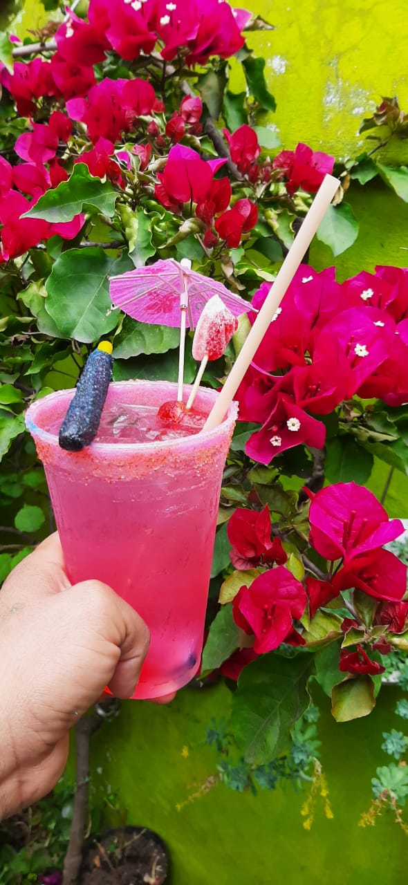 Alitas Caseras de Renegul yiyi papa image 6