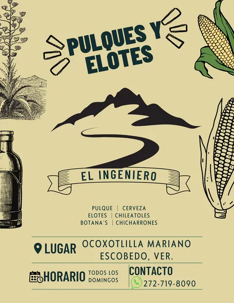 Elotes y Pulques de Ocoxotlilla image 2