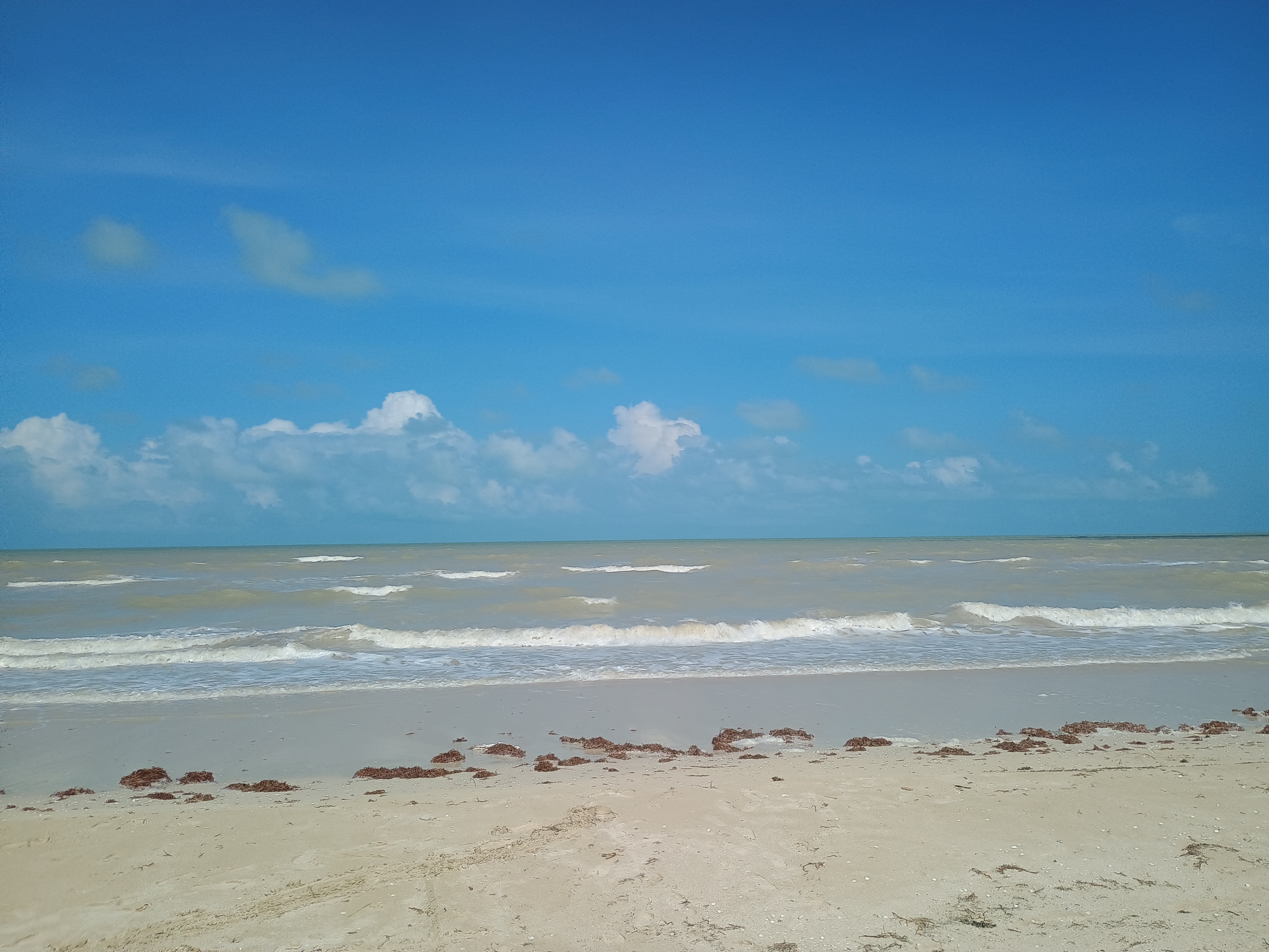 Restaurante Muelle de Sisal image 3