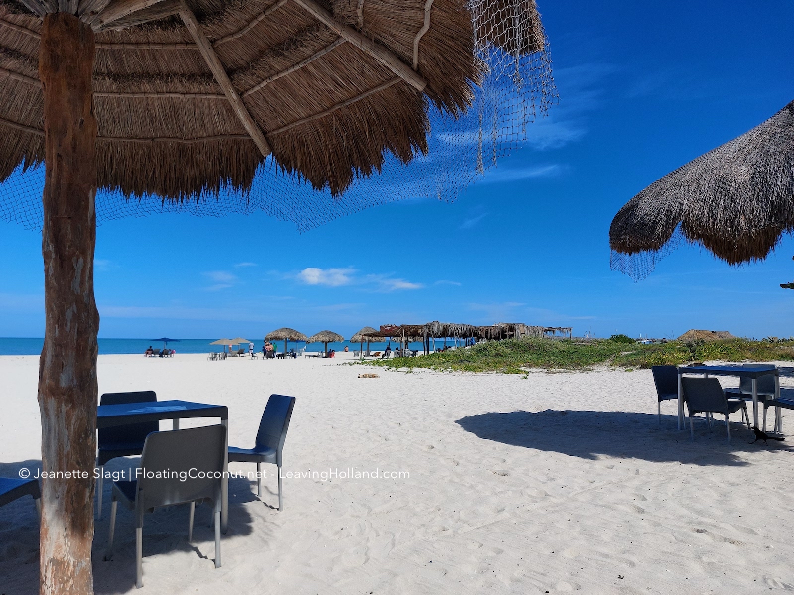 Restaurante Muelle de Sisal image 5