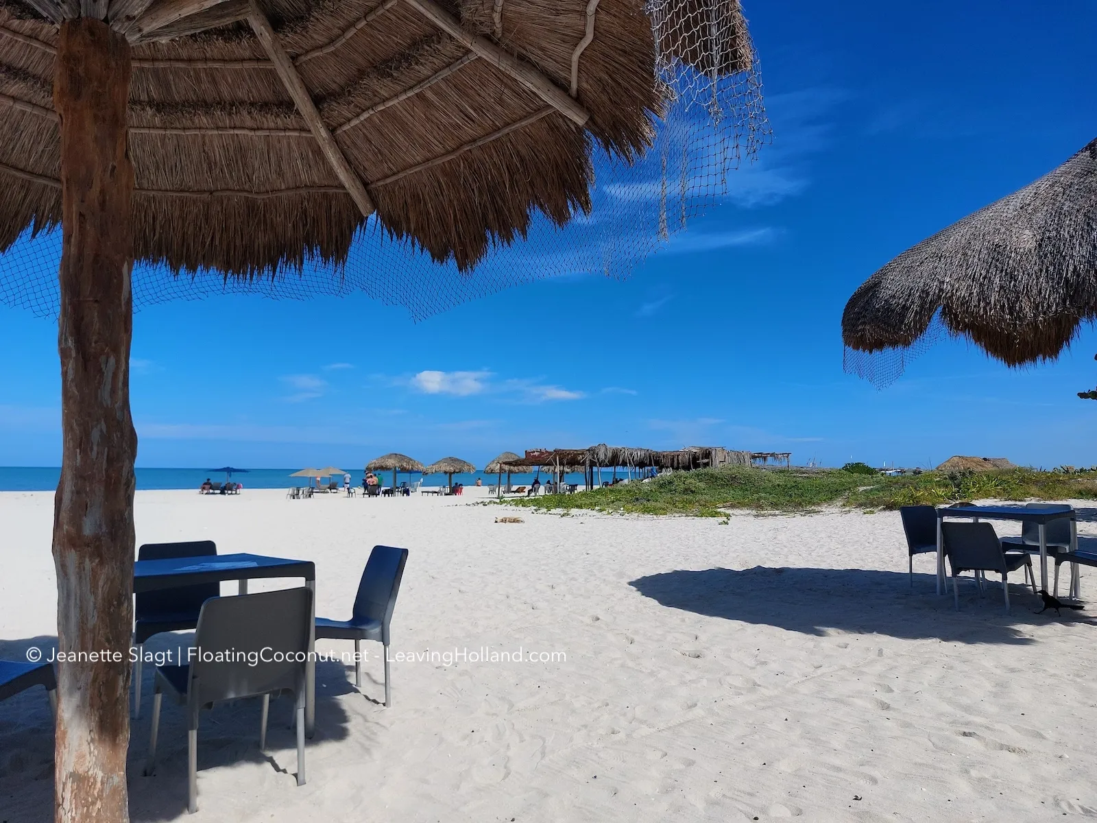 Restaurante Muelle de Sisal image 5