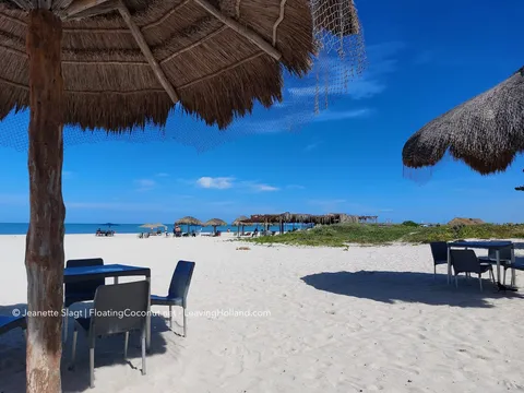 Restaurante Muelle de Sisal image 5