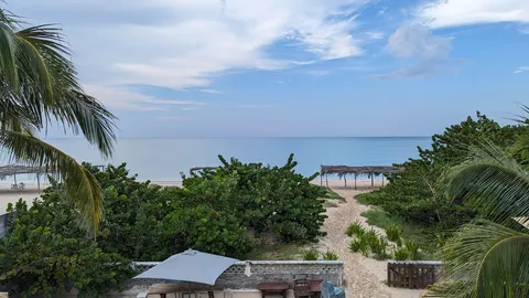 Palmar Sisal - Club de Playa image 8