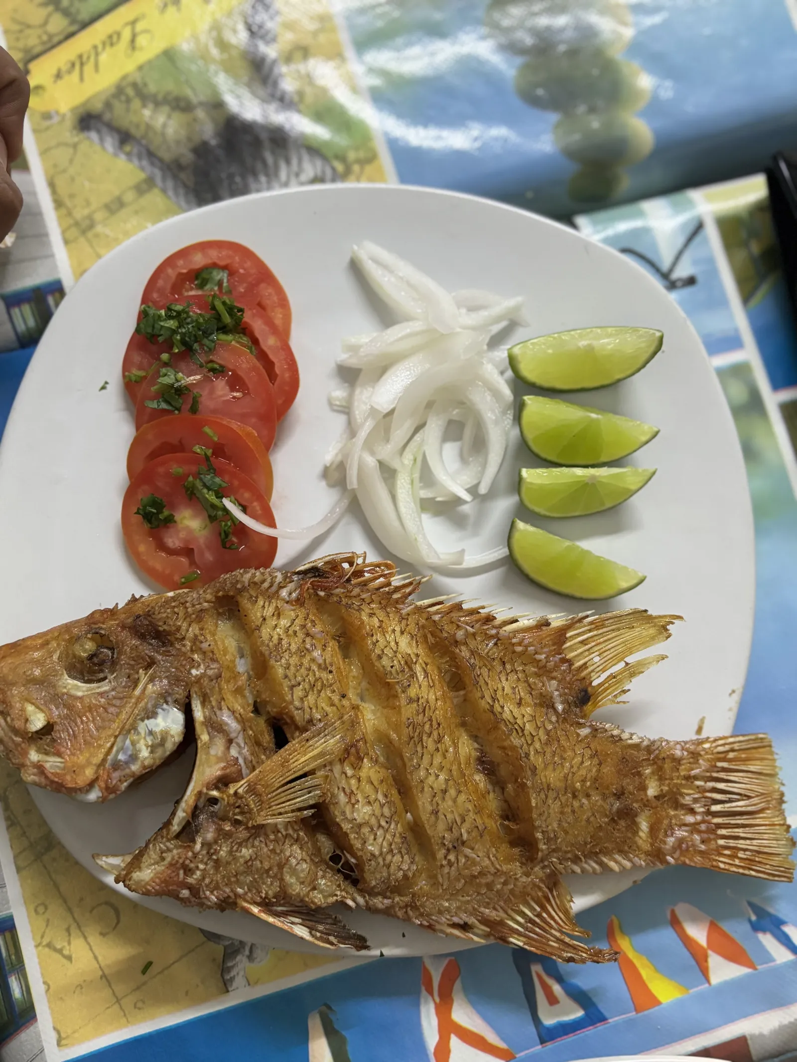 Restaurante "El Camarón Feliz" image 3