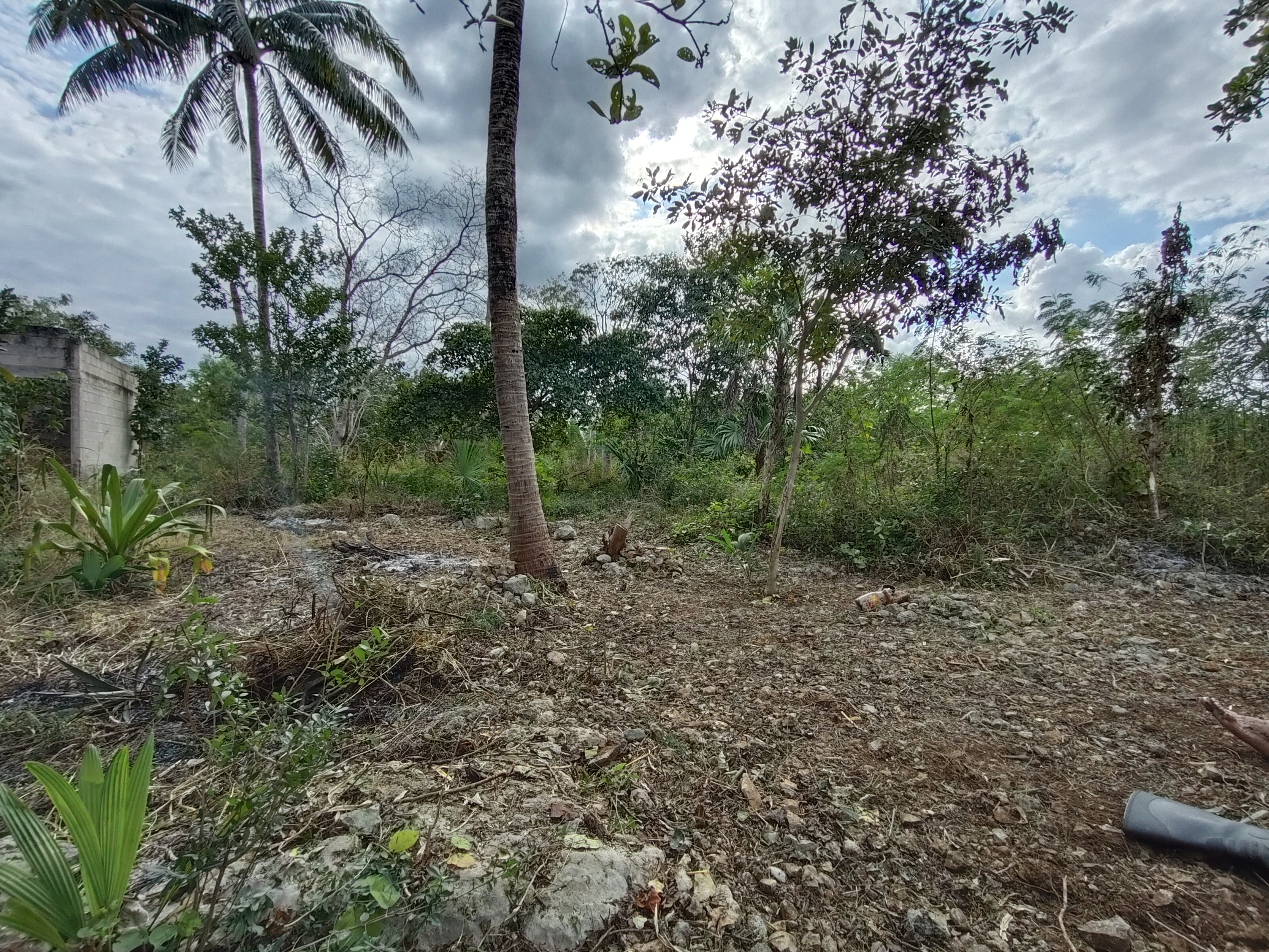 El patio comedy bar restaurant image 3