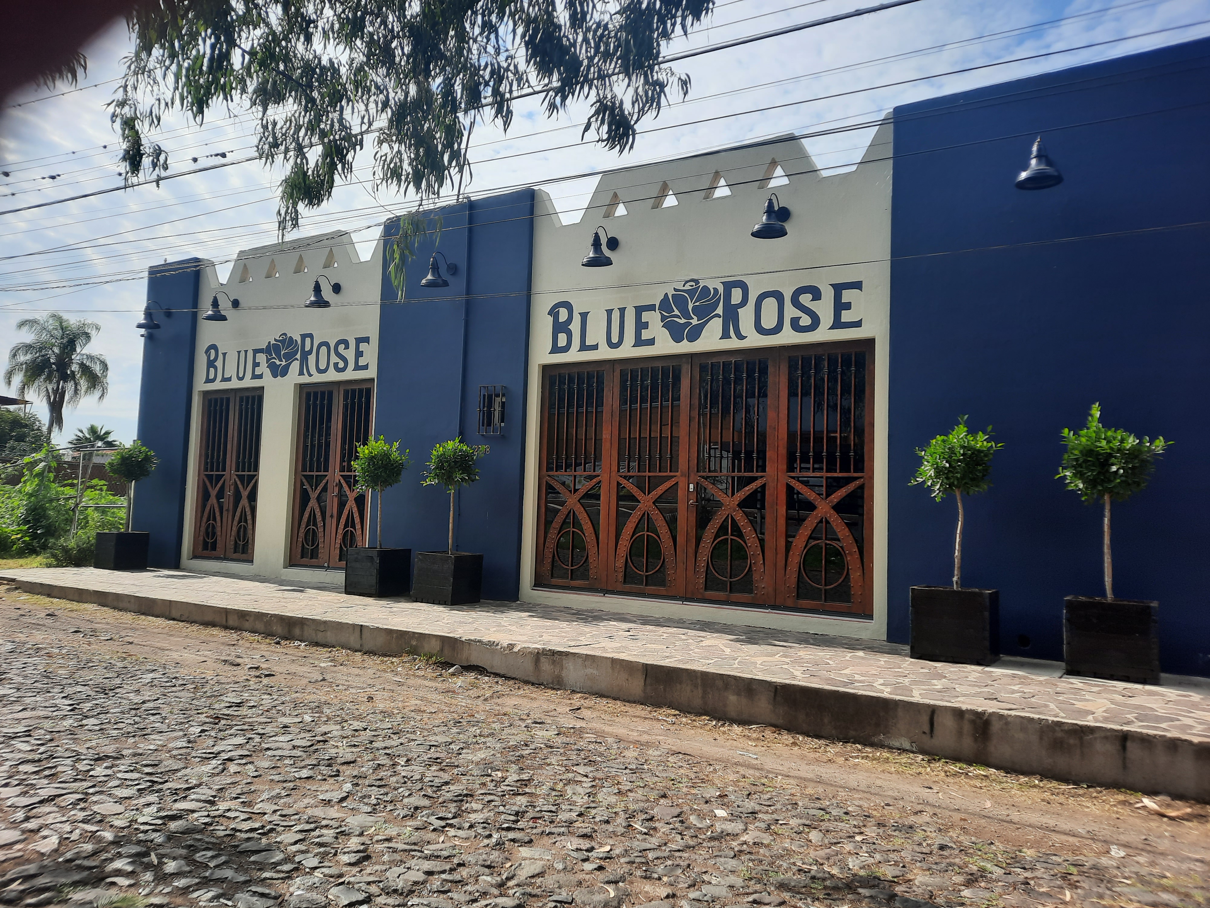 Blue Rose Bistro image 1