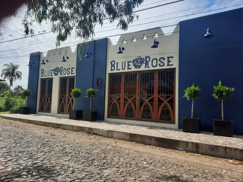 Blue Rose Bistro image 1