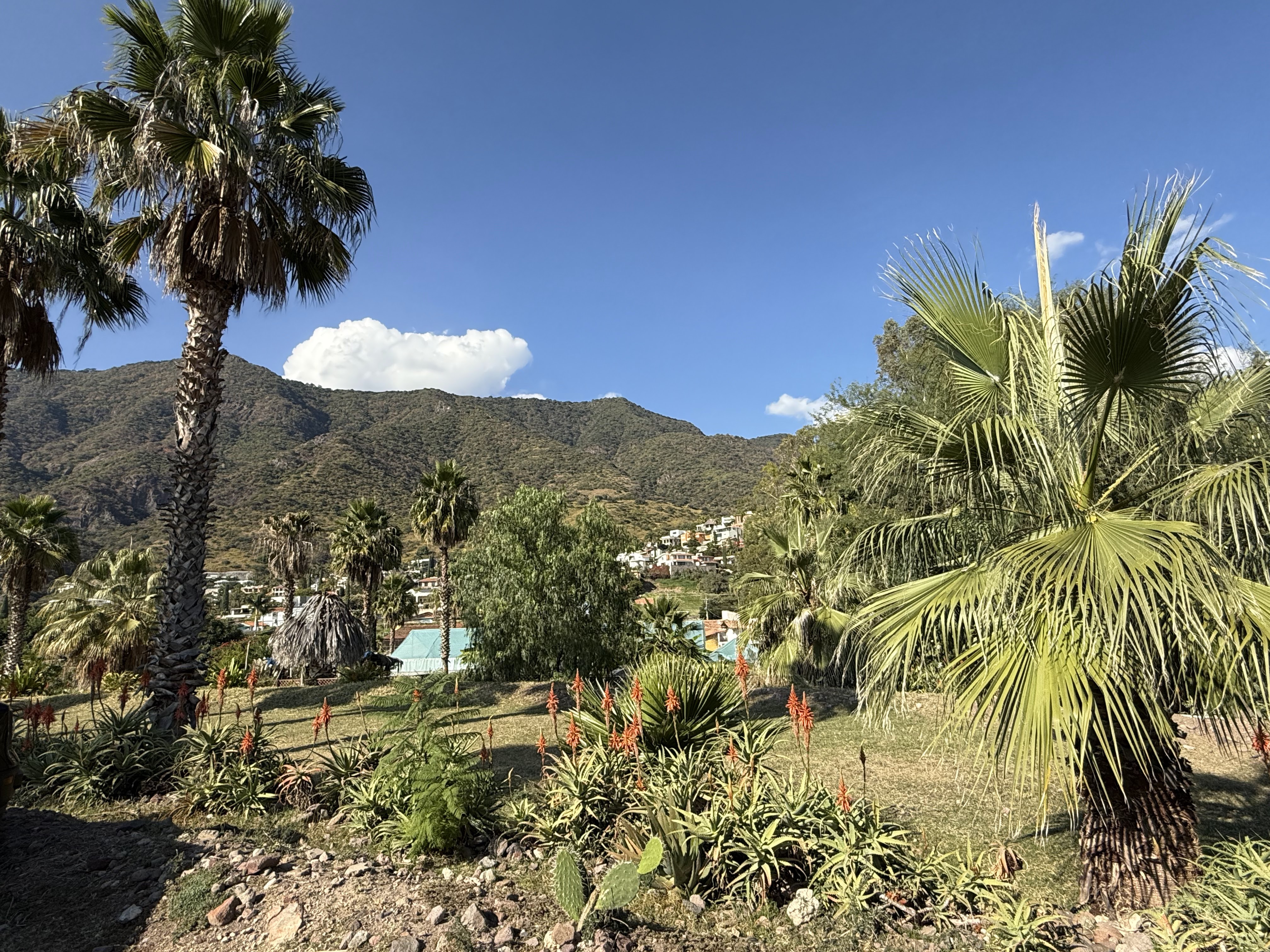 Las Caballerizas De Coxala image 6