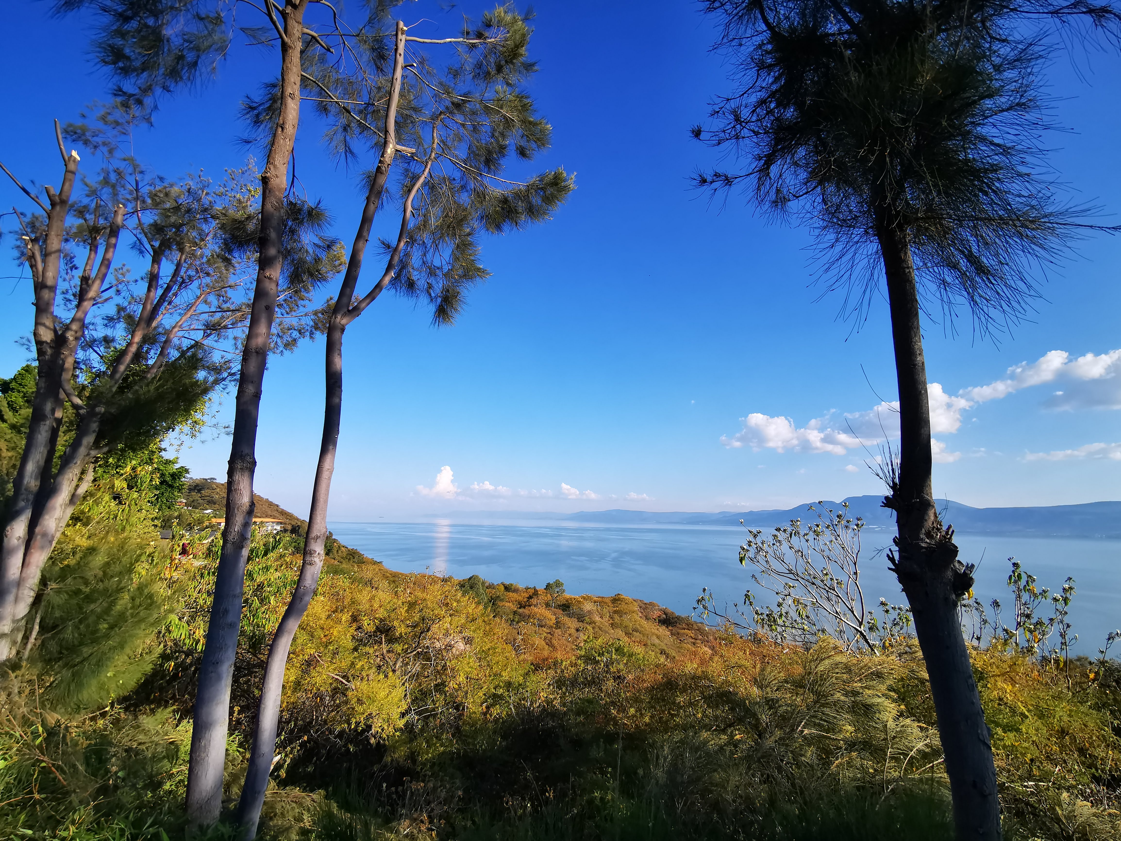 Las Caballerizas De Coxala image 7