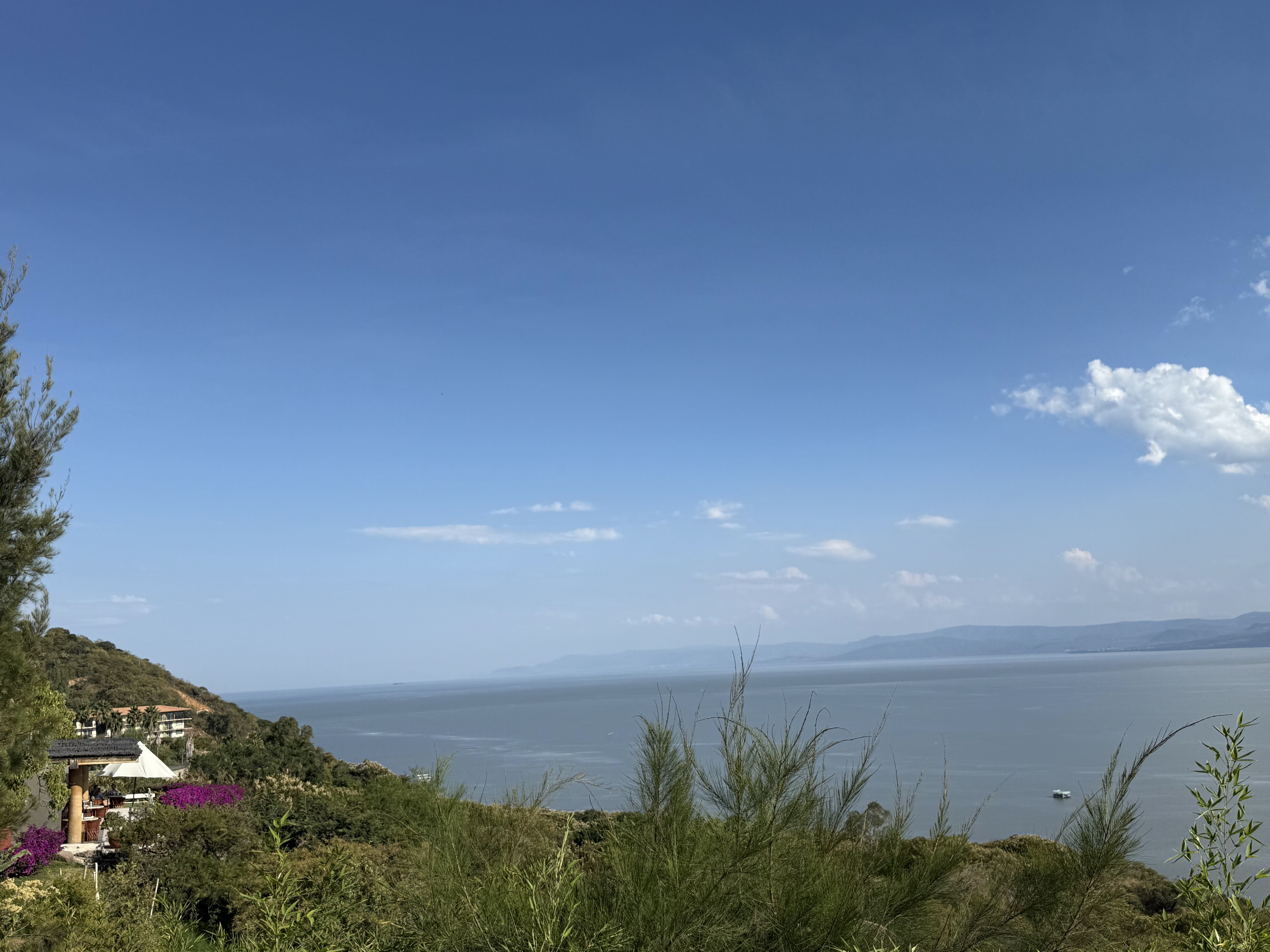 Las Caballerizas De Coxala image 9