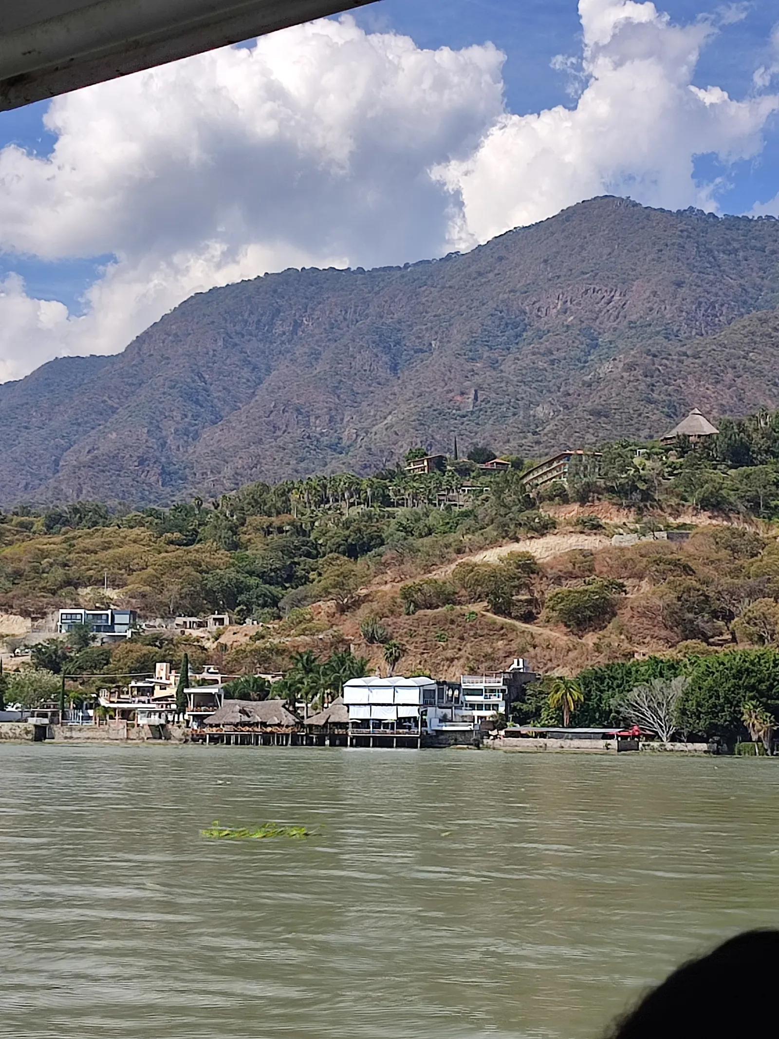 El Bambu image 5