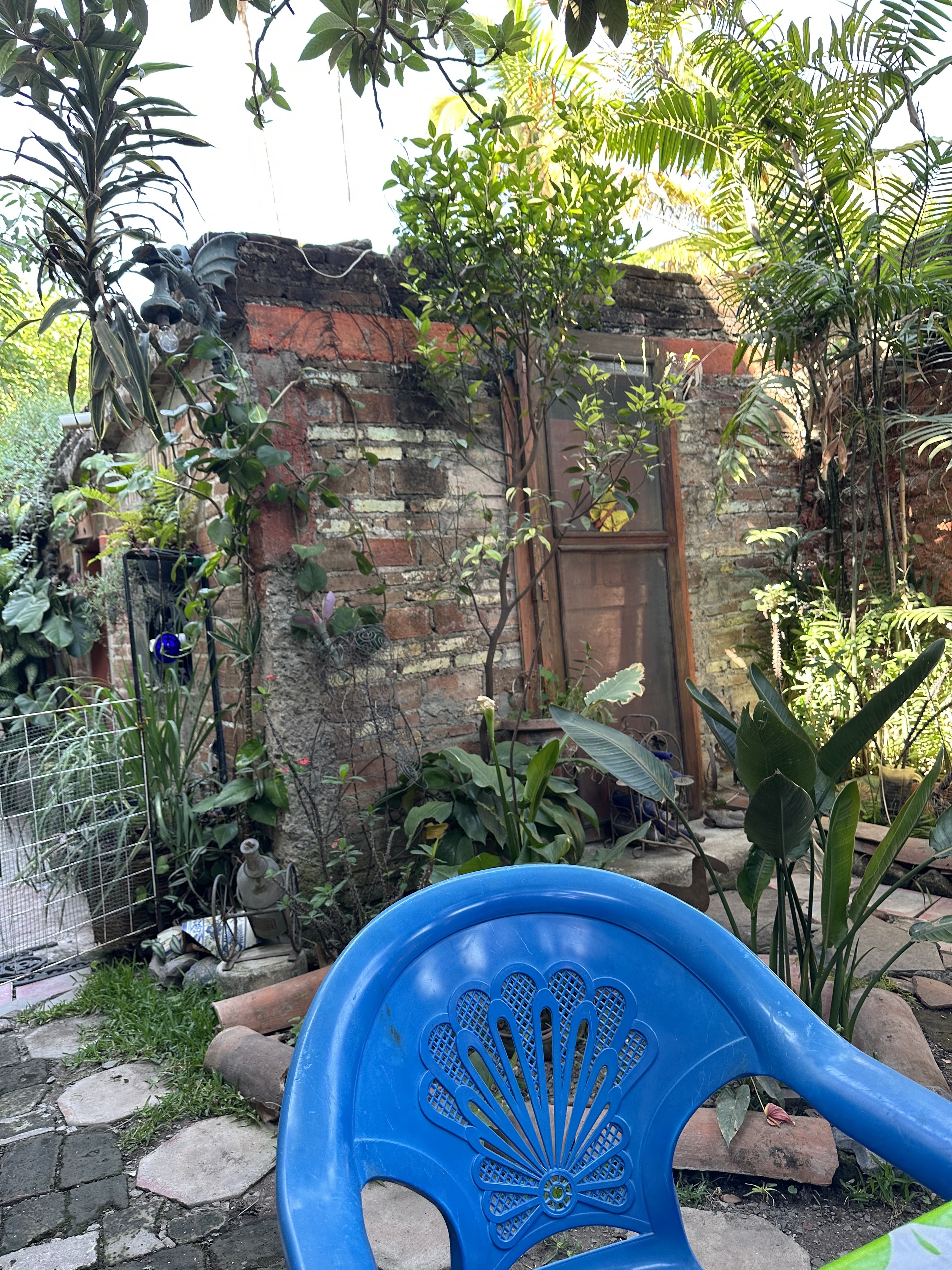 Cafe In Acalli image 3