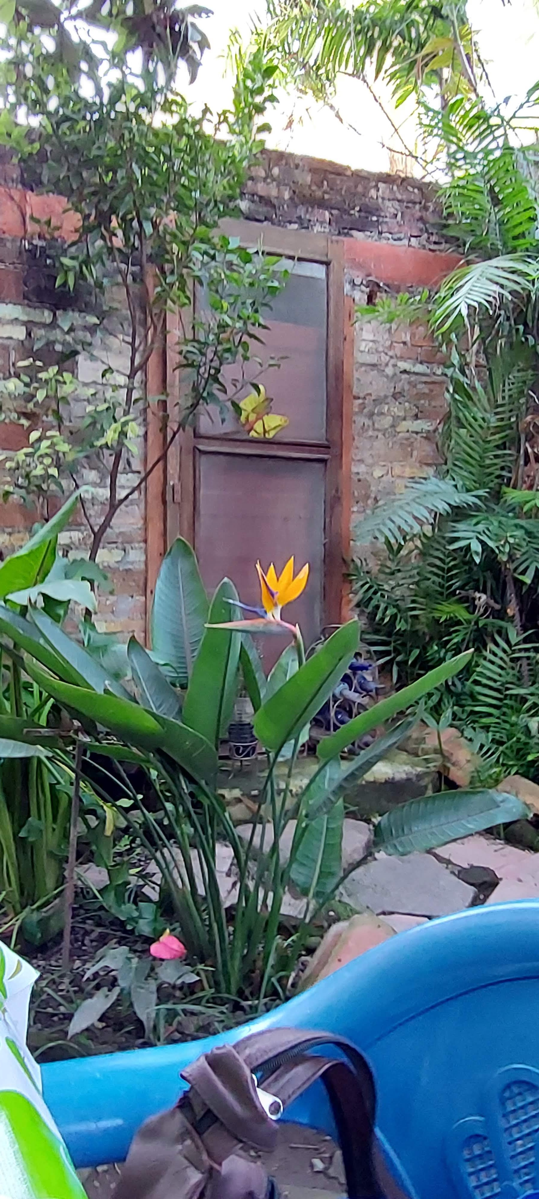 Cafe In Acalli image 8