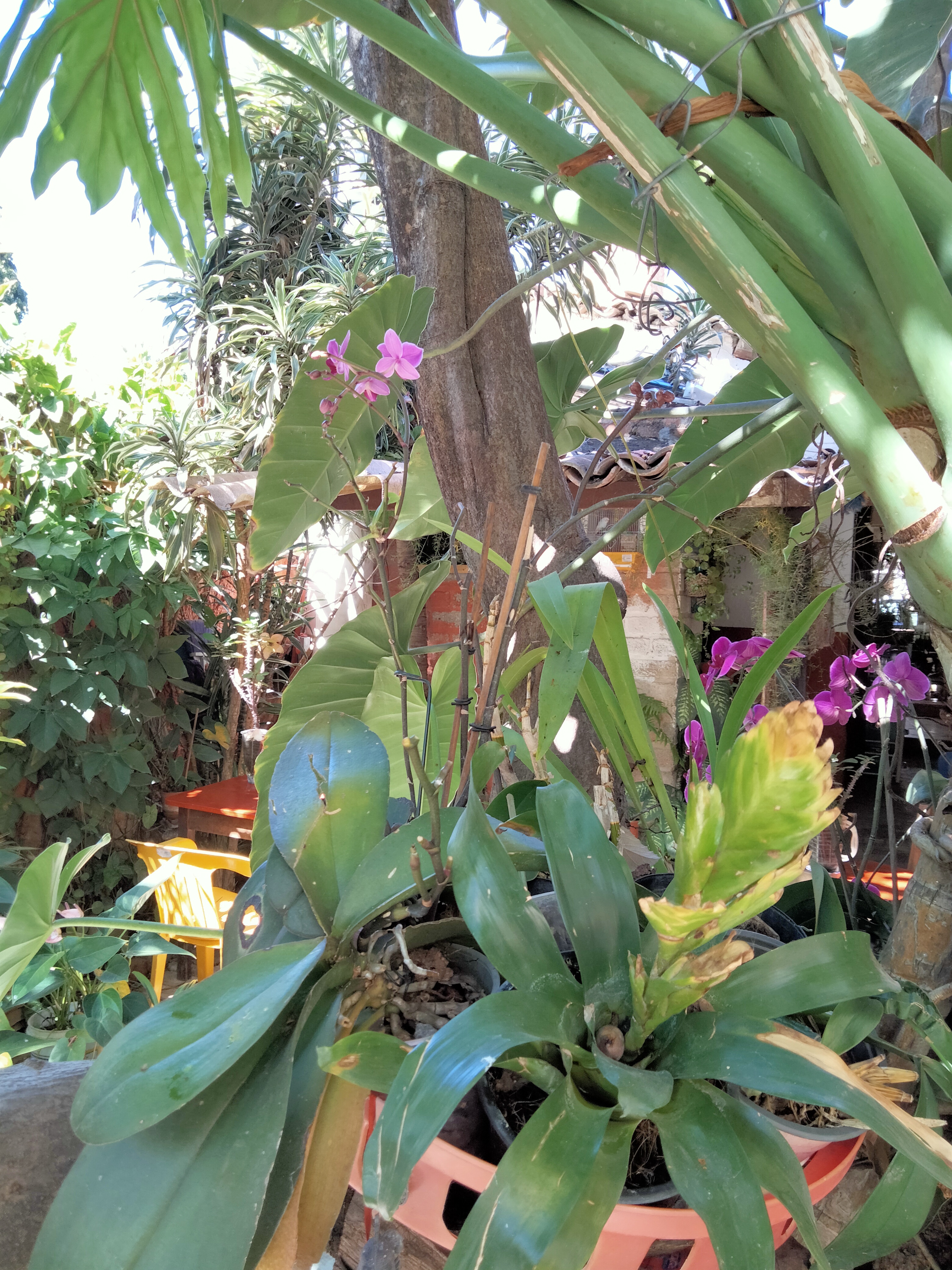 Cafe In Acalli image 9