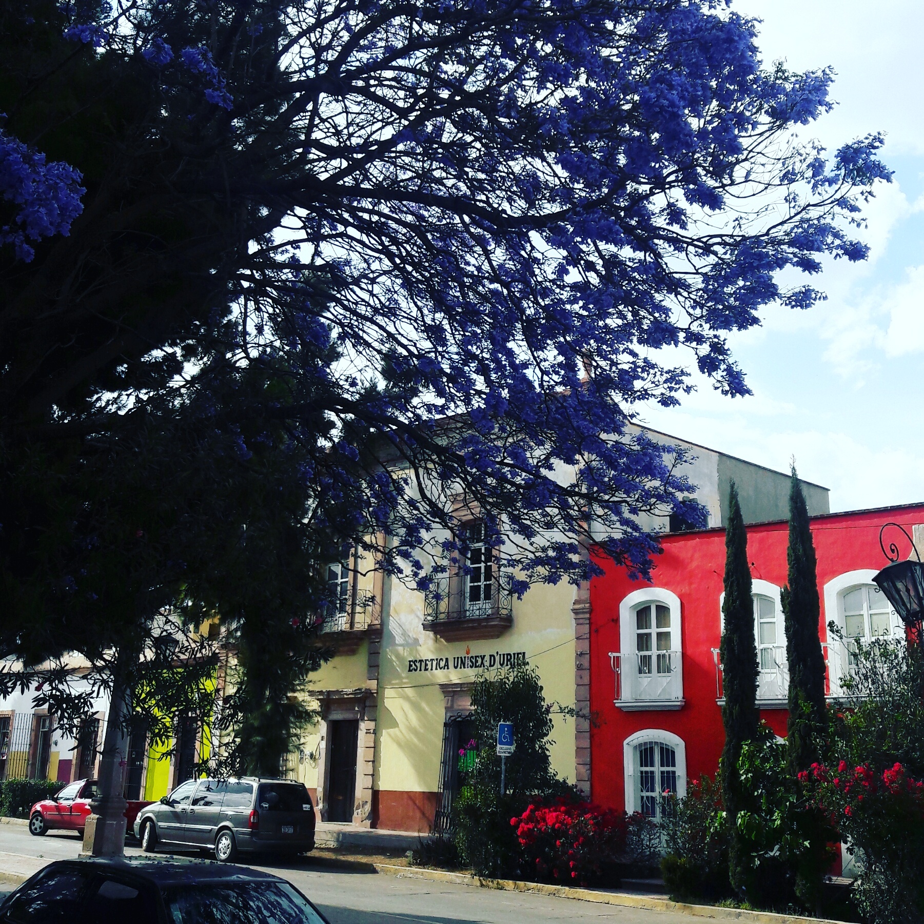 Restaurante El Paraiso image 7