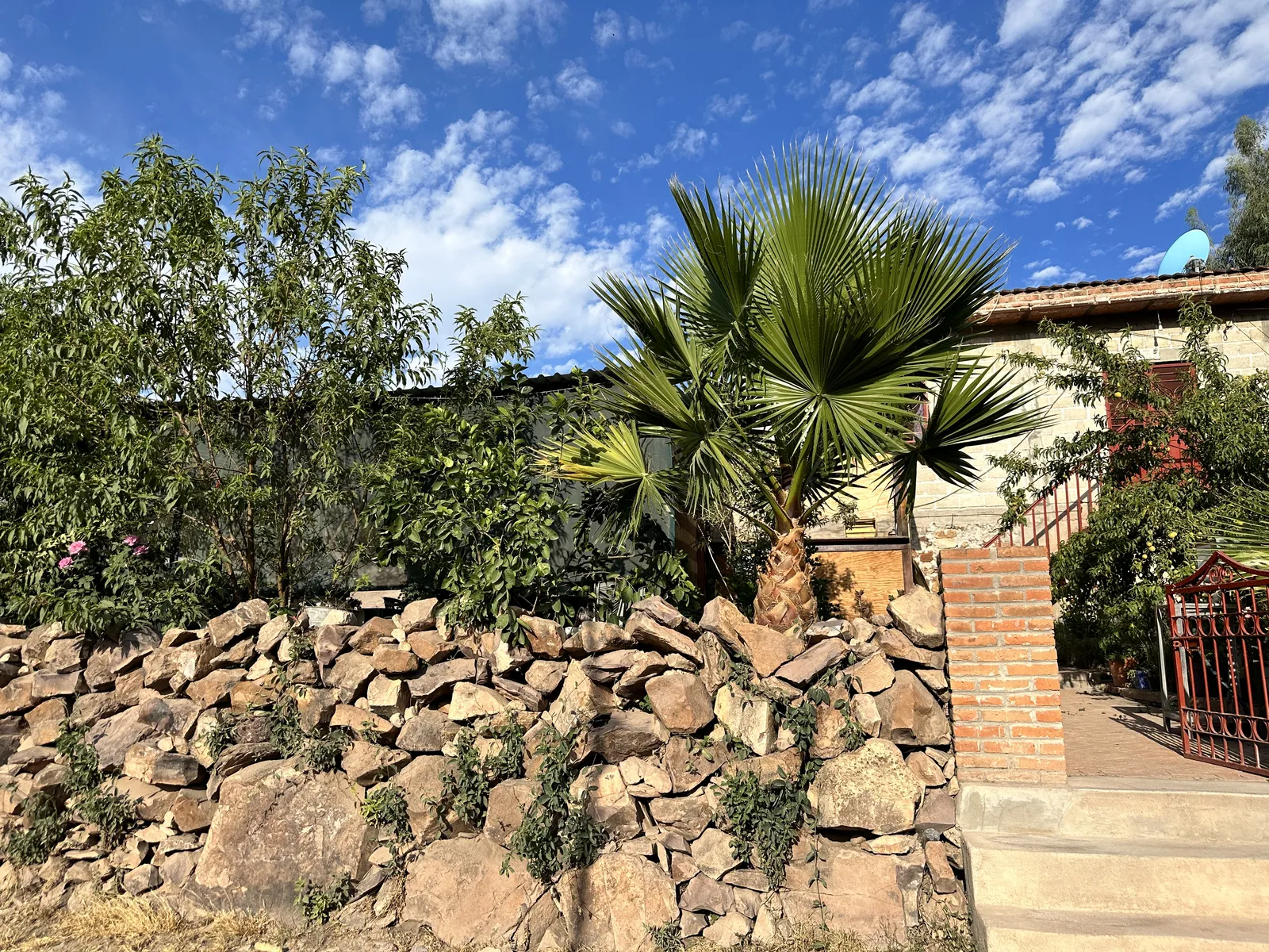 El tejaban image 3