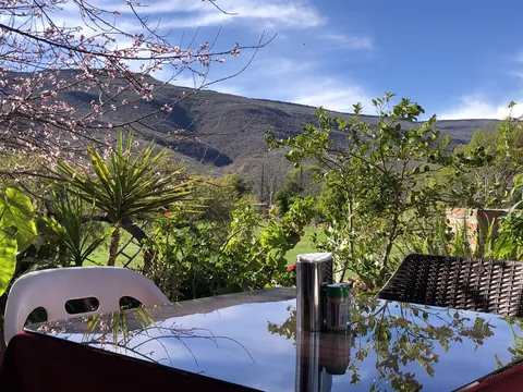 El tejaban image 4
