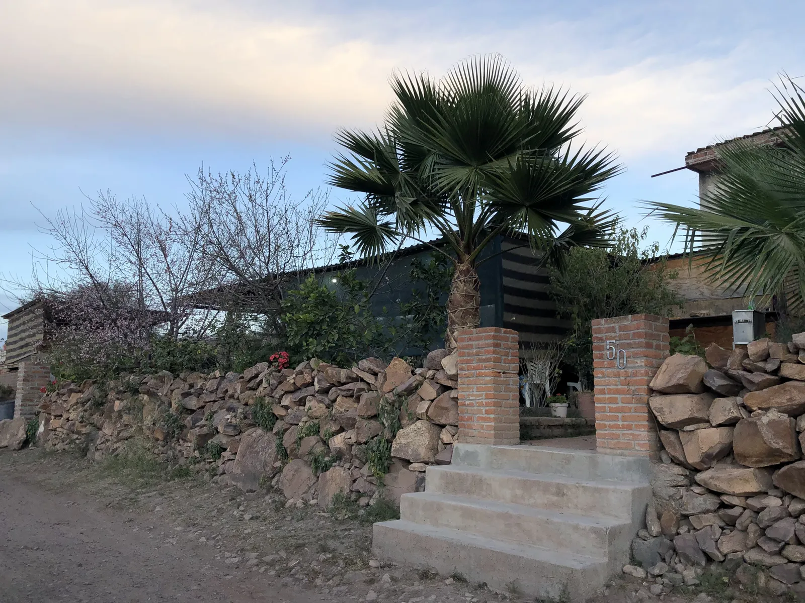 El tejaban image 9