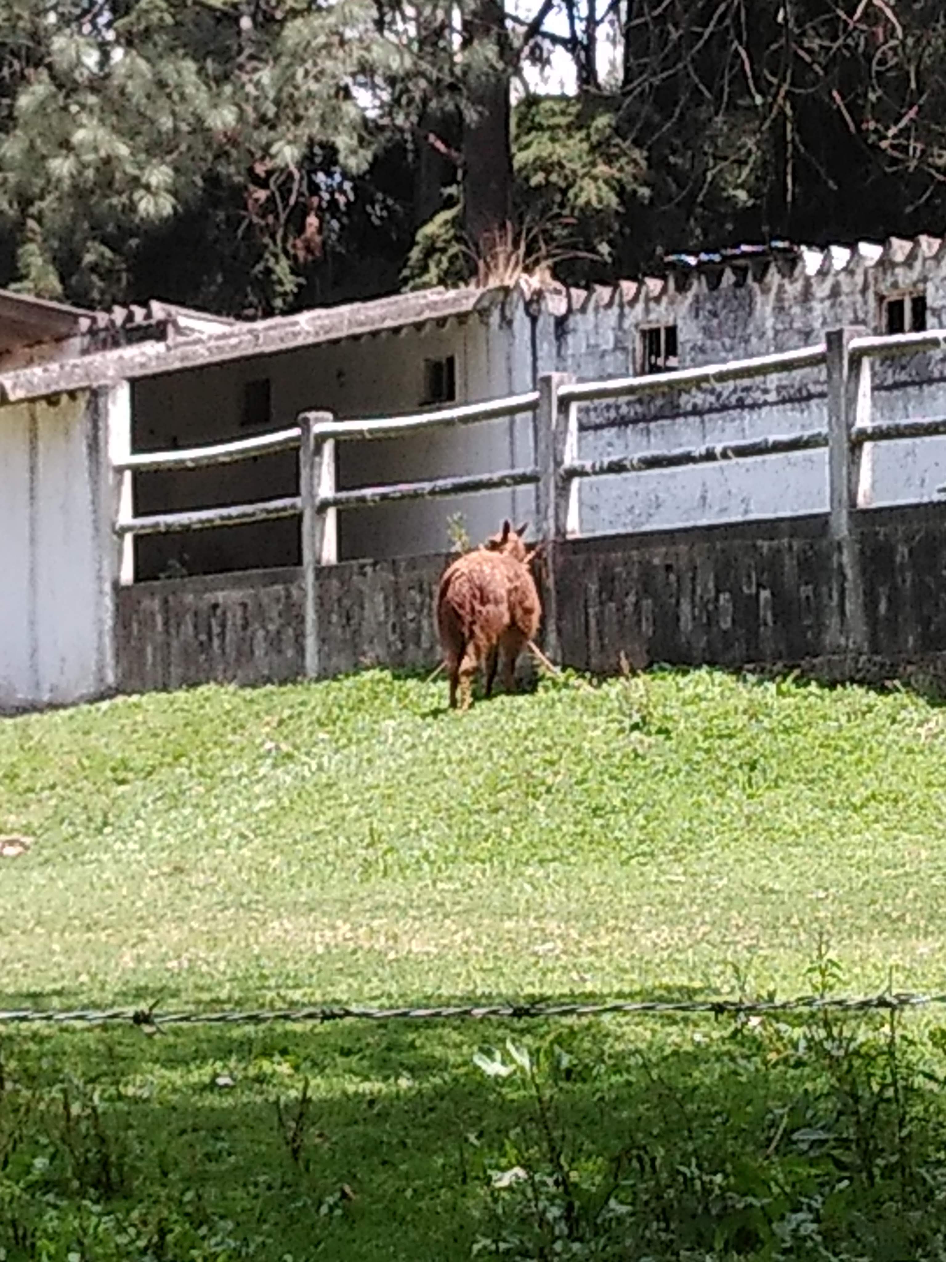 Cabañas El Encanto Restaurant image 10