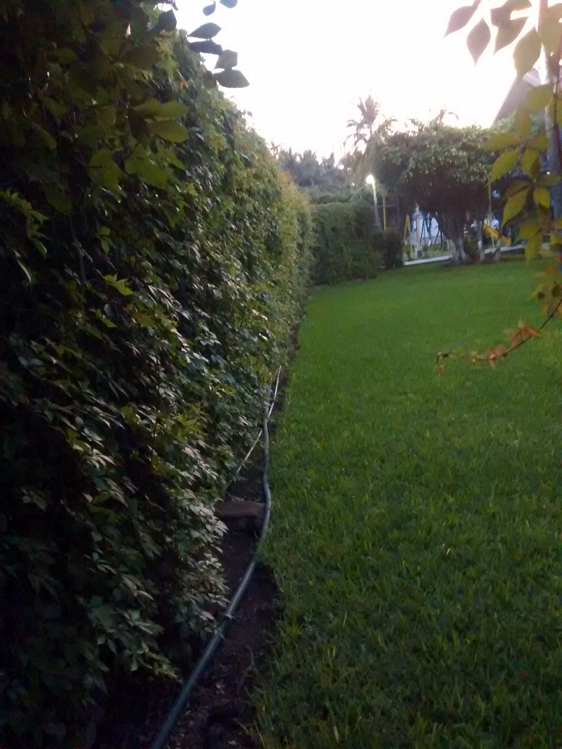 Mario's Grill image 10