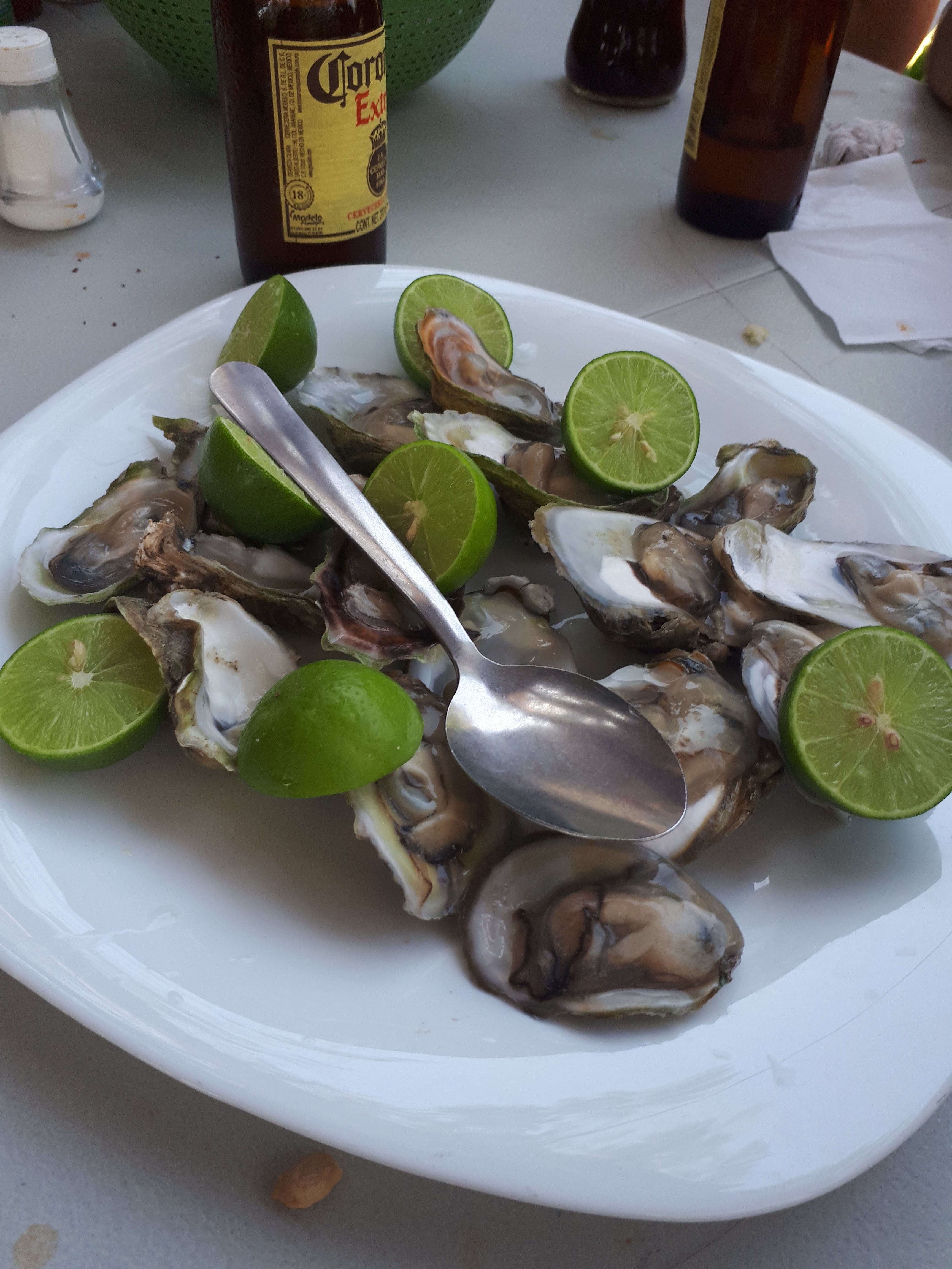 LA FIESTA Y SU OLA VERDE image 5