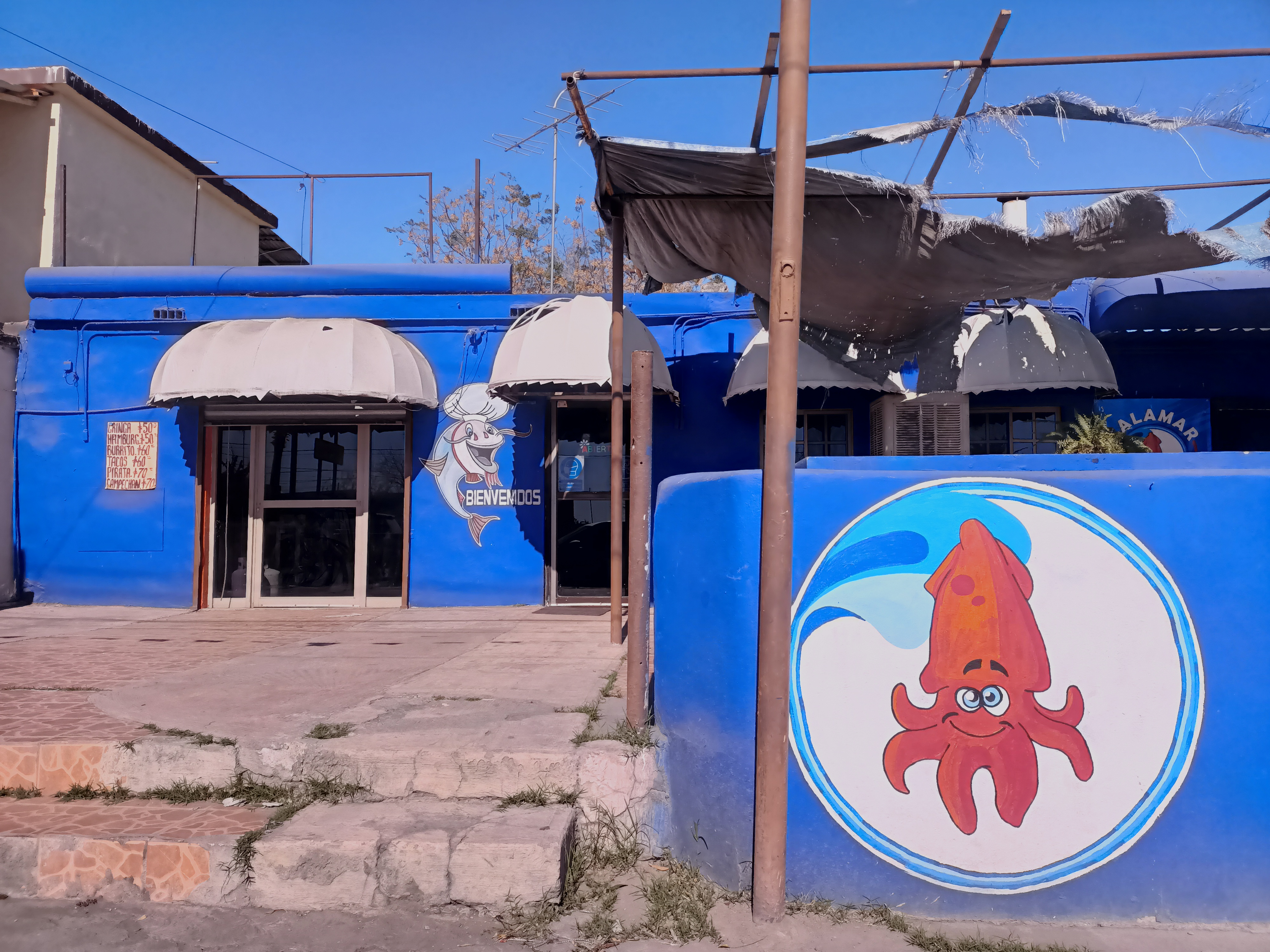 Calamar Pescadería image 5