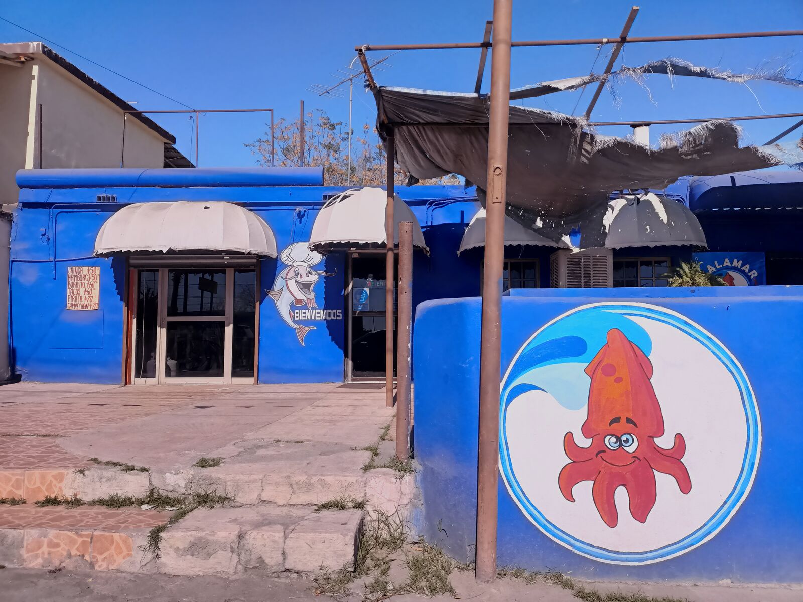 Calamar Pescadería image 5