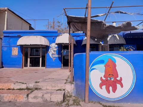 Calamar Pescadería image 5