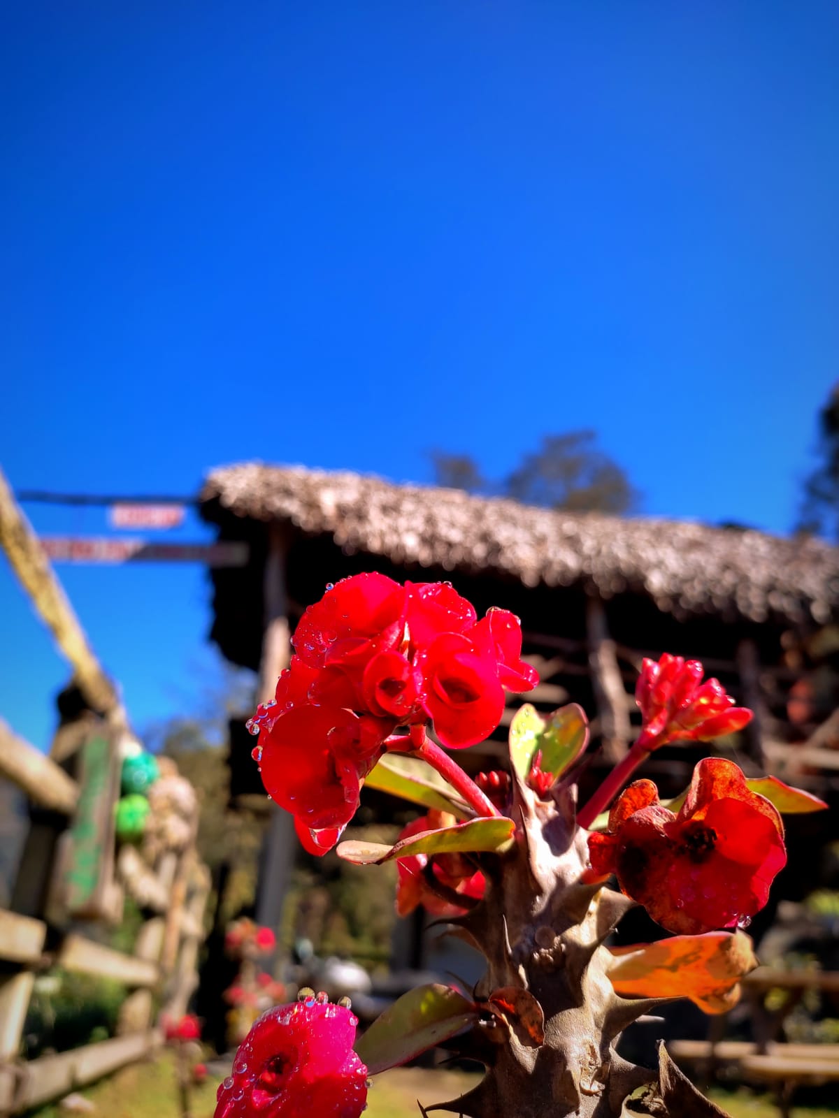 Refugio en la Montaña. image 7
