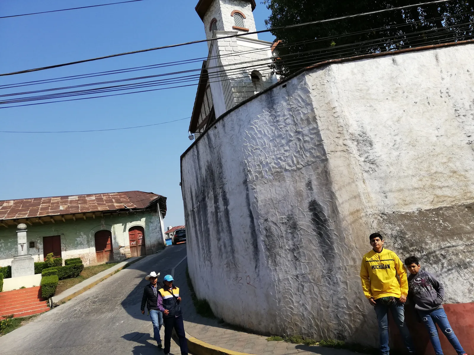 PERA VERDE image 4