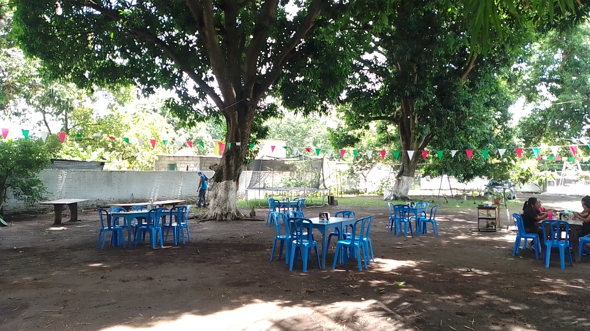 Las zarandeadas de Jamapa image 7