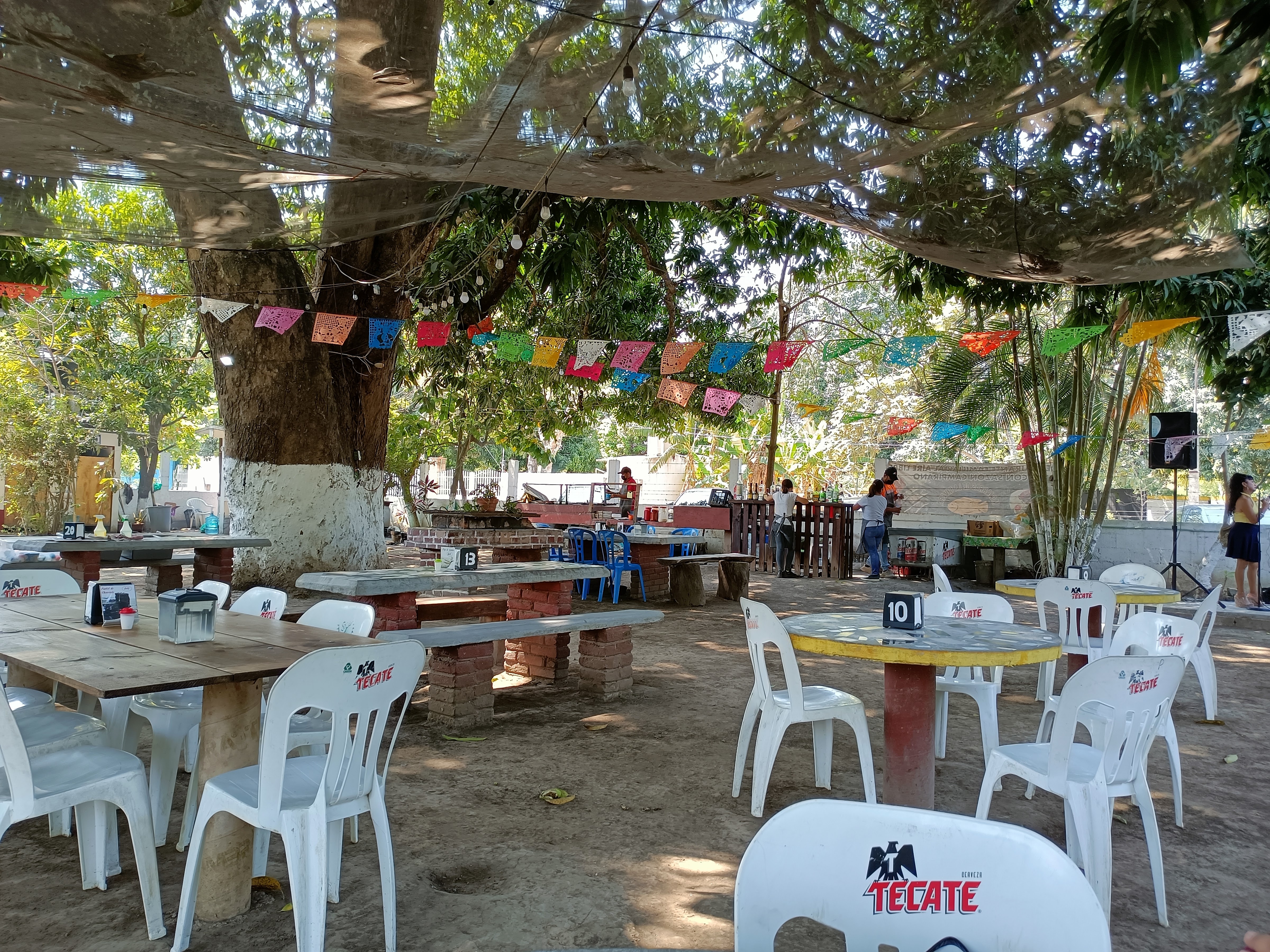 Las zarandeadas de Jamapa image 8