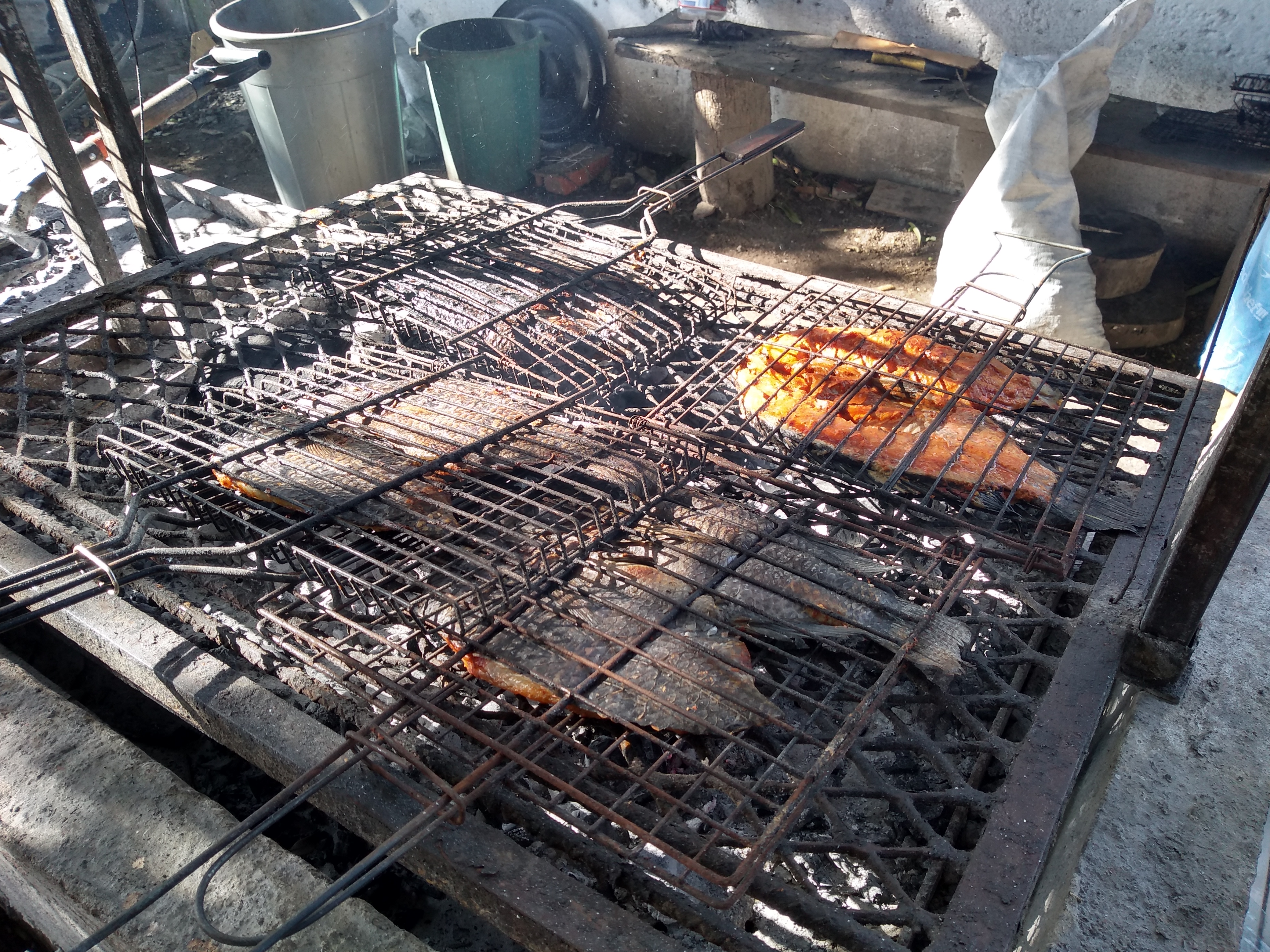 Las zarandeadas de Jamapa image 9