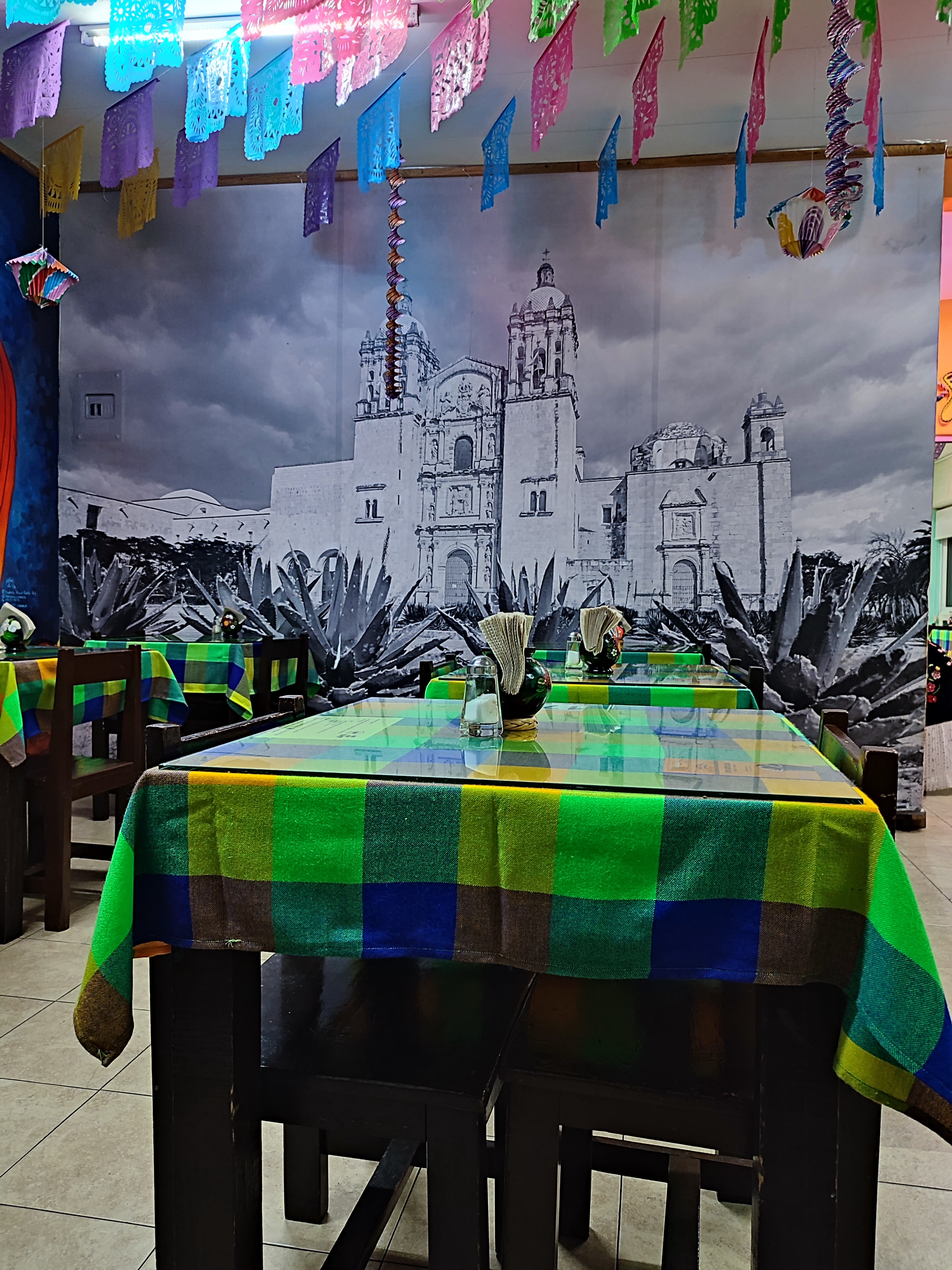 Barro Negro Floresta image 7