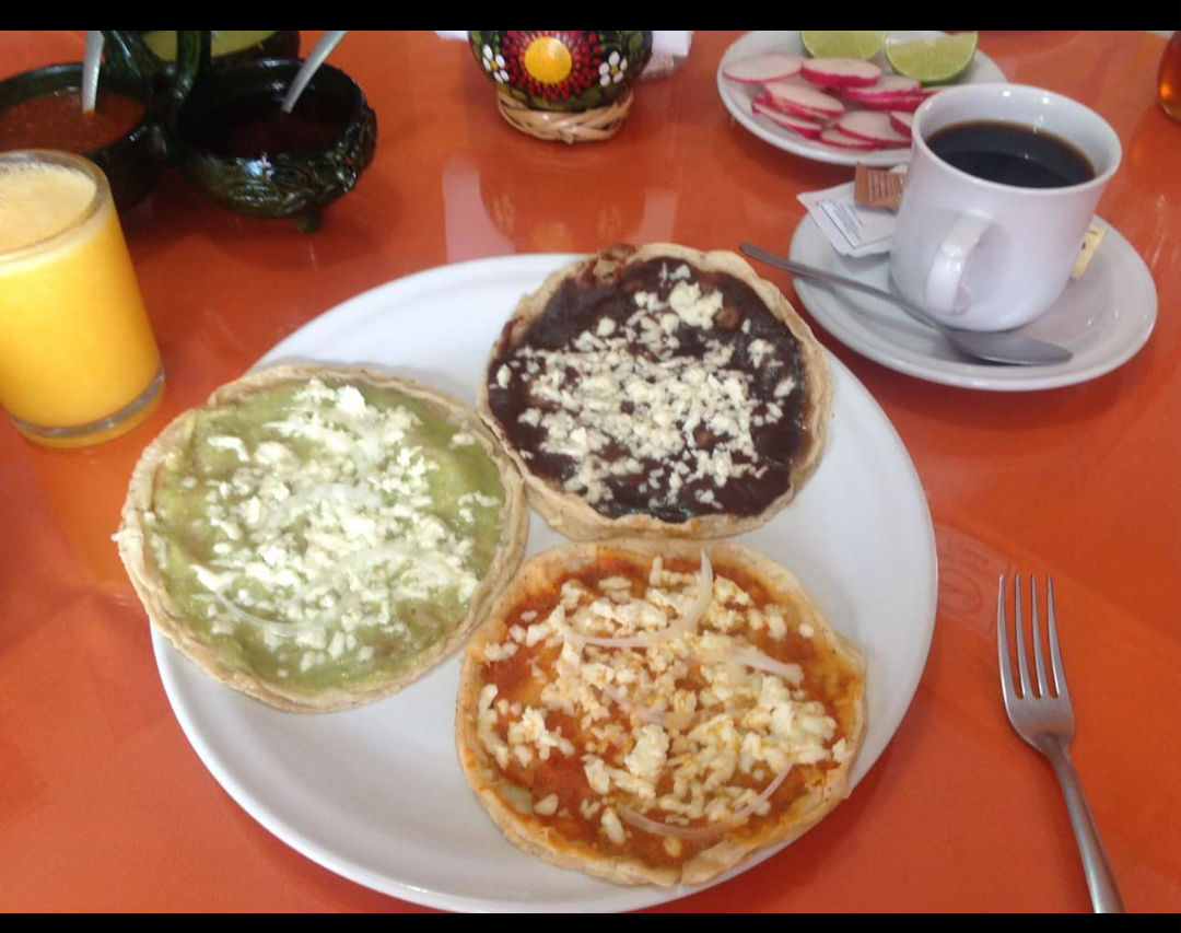 Barro Negro Floresta image 9