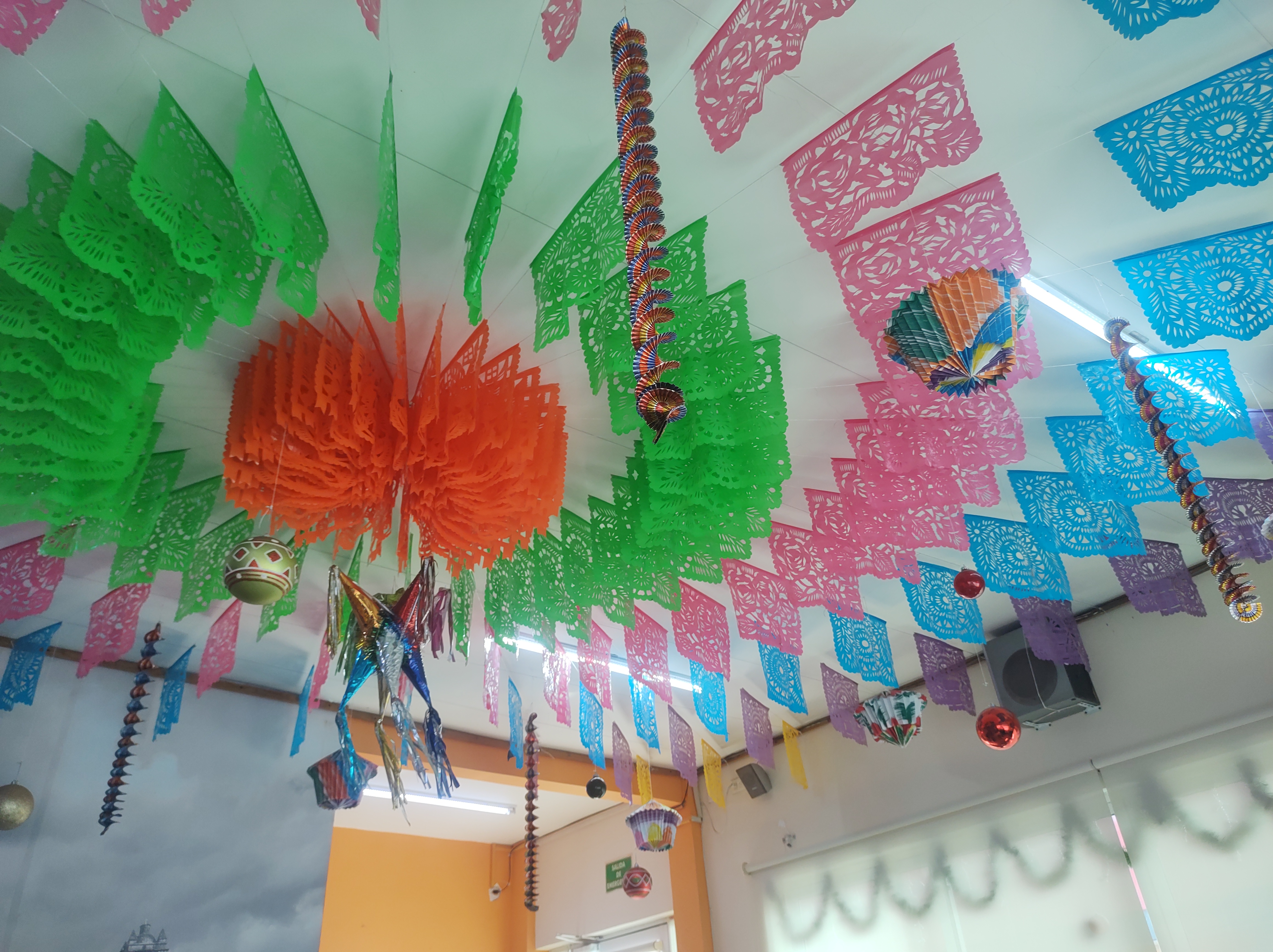 Barro Negro Floresta image 10