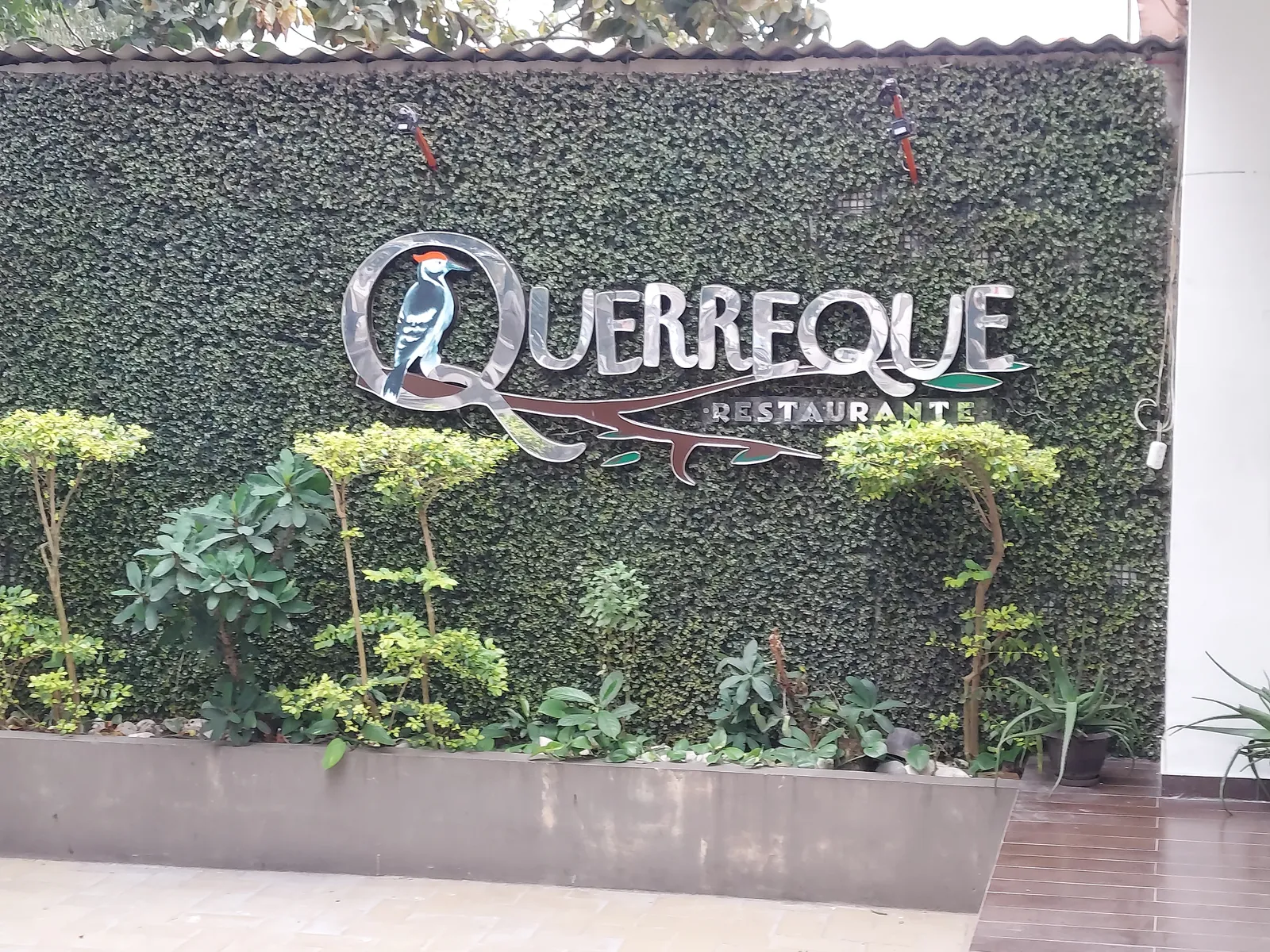 Querreque image 6