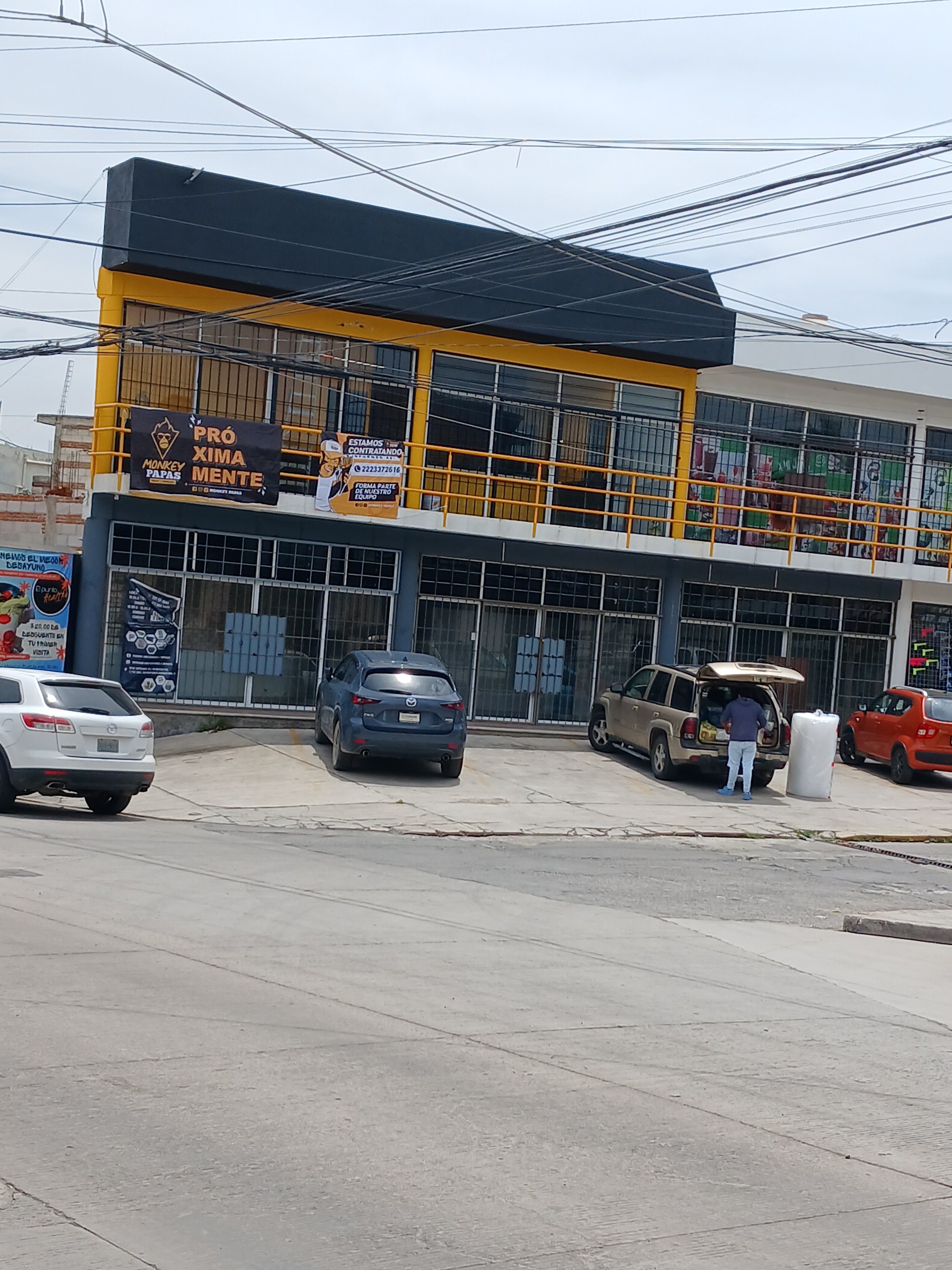 Monkey Papas Cuautlancingo image 5