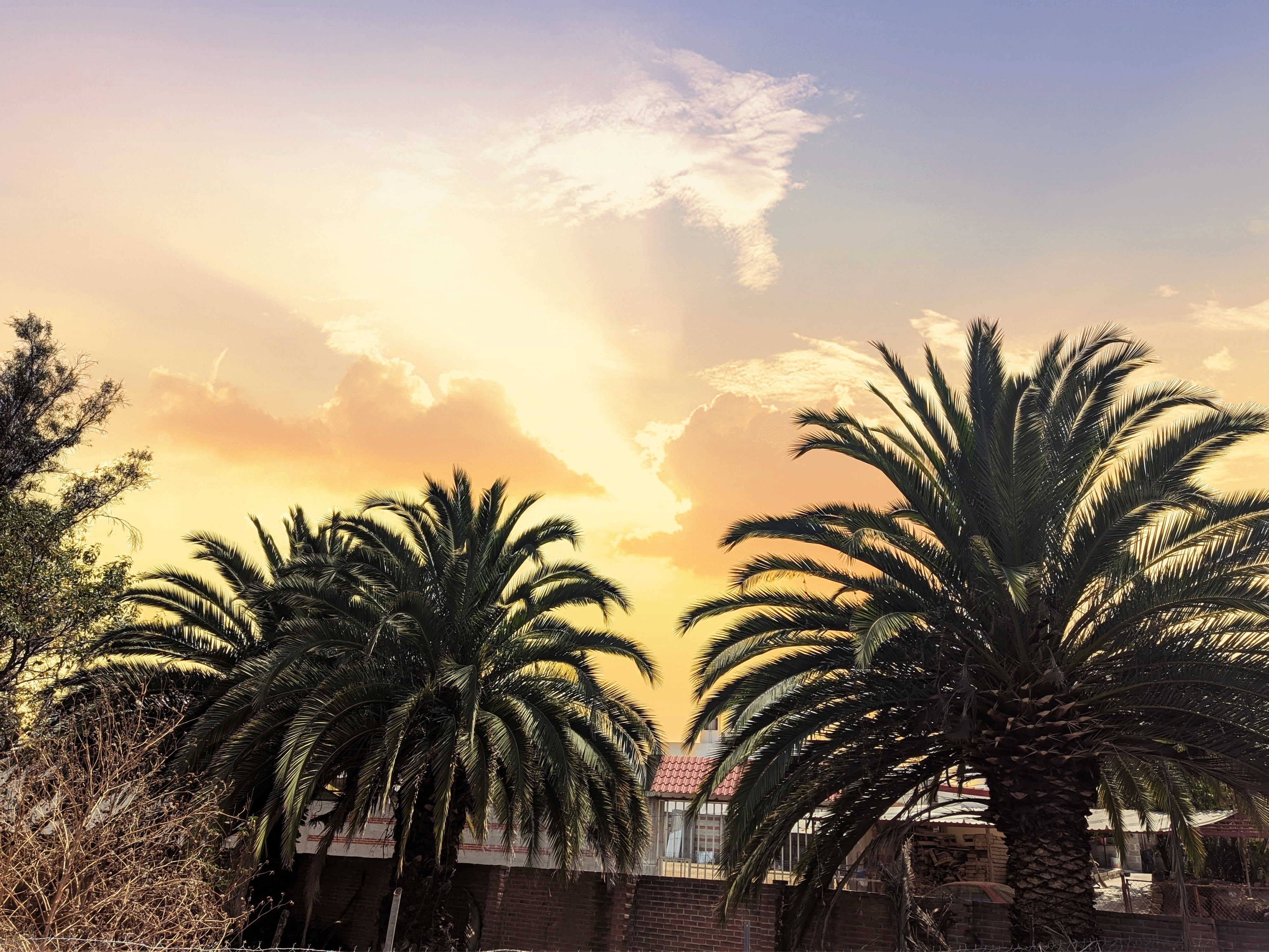 Bicho Wings Cuautlancingo image 10